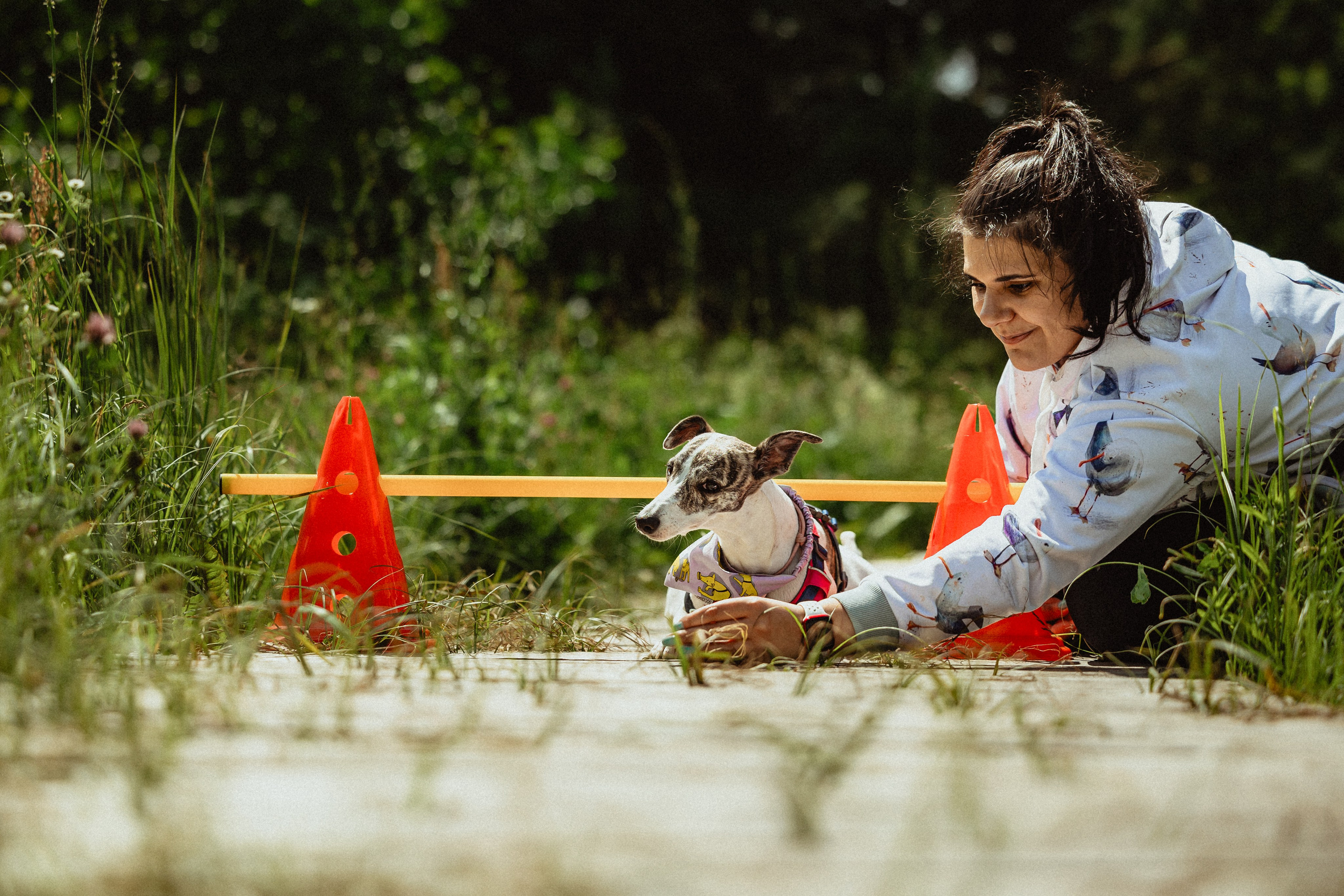Выездной дог-тренинг от школы «Шерсть имею»
