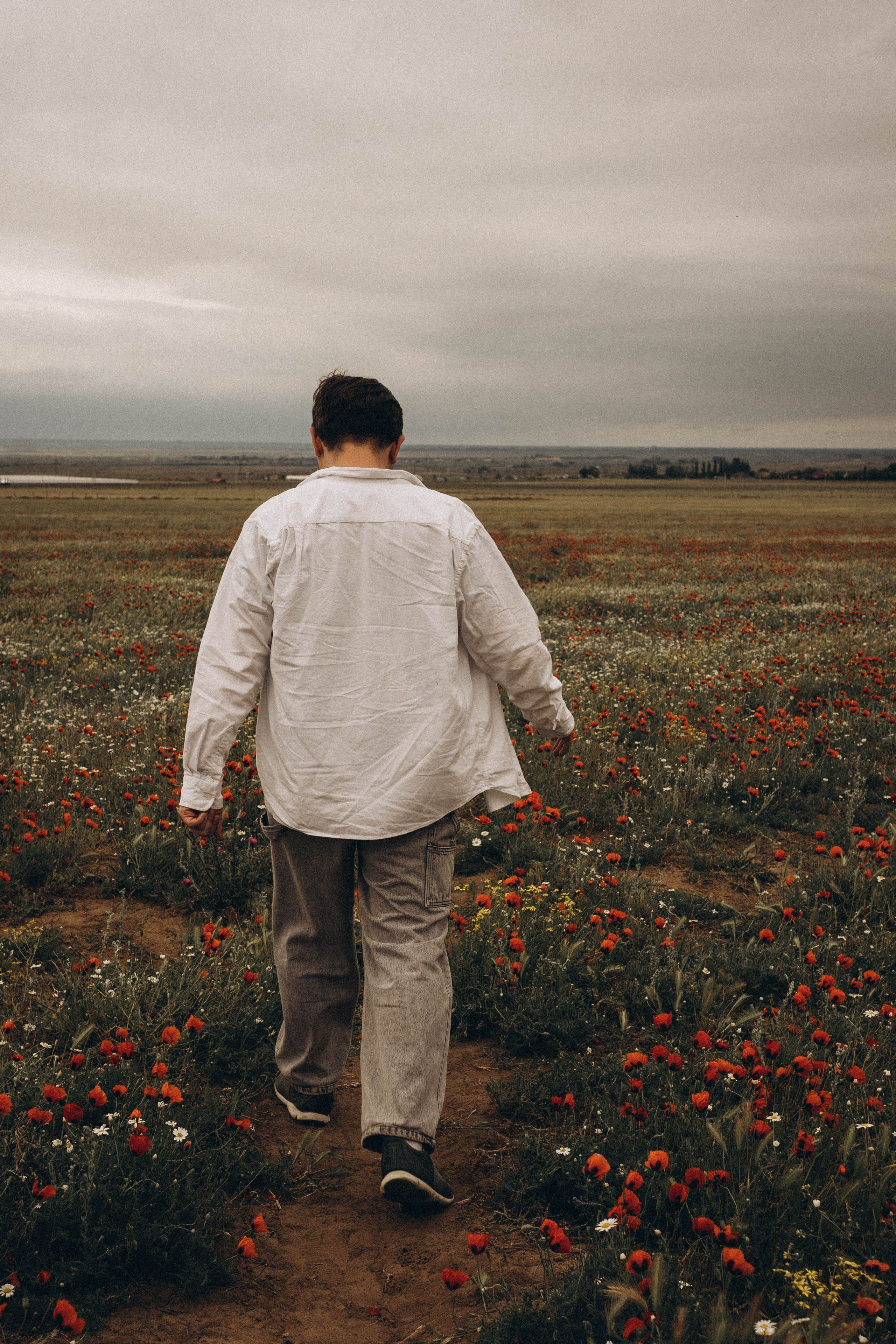 Маки. Профессиональный фотограф, Санкт-Петербург — Виктория Богомолова