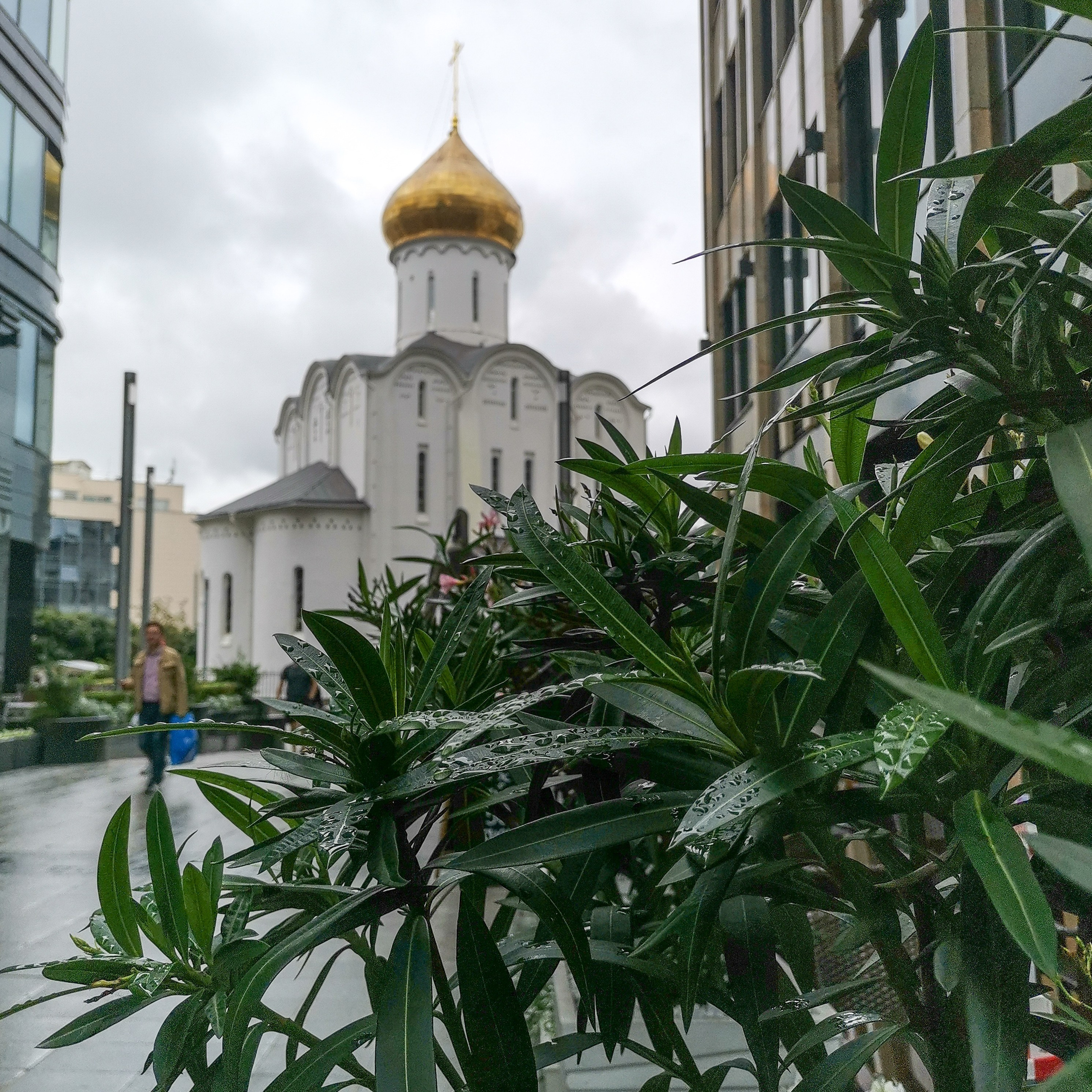 Академия фотографии. Фото/Ретушь/Обучение