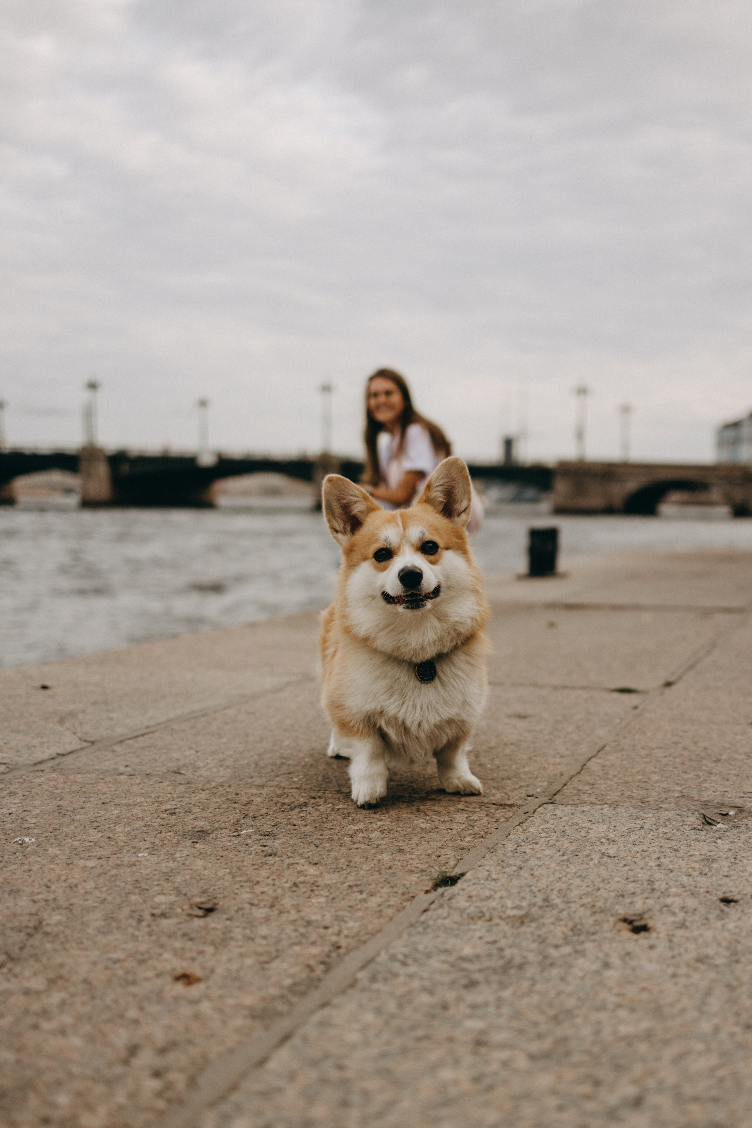 Лиза и Бакс. Фотограф — Анималист | Санкт-Петербург
