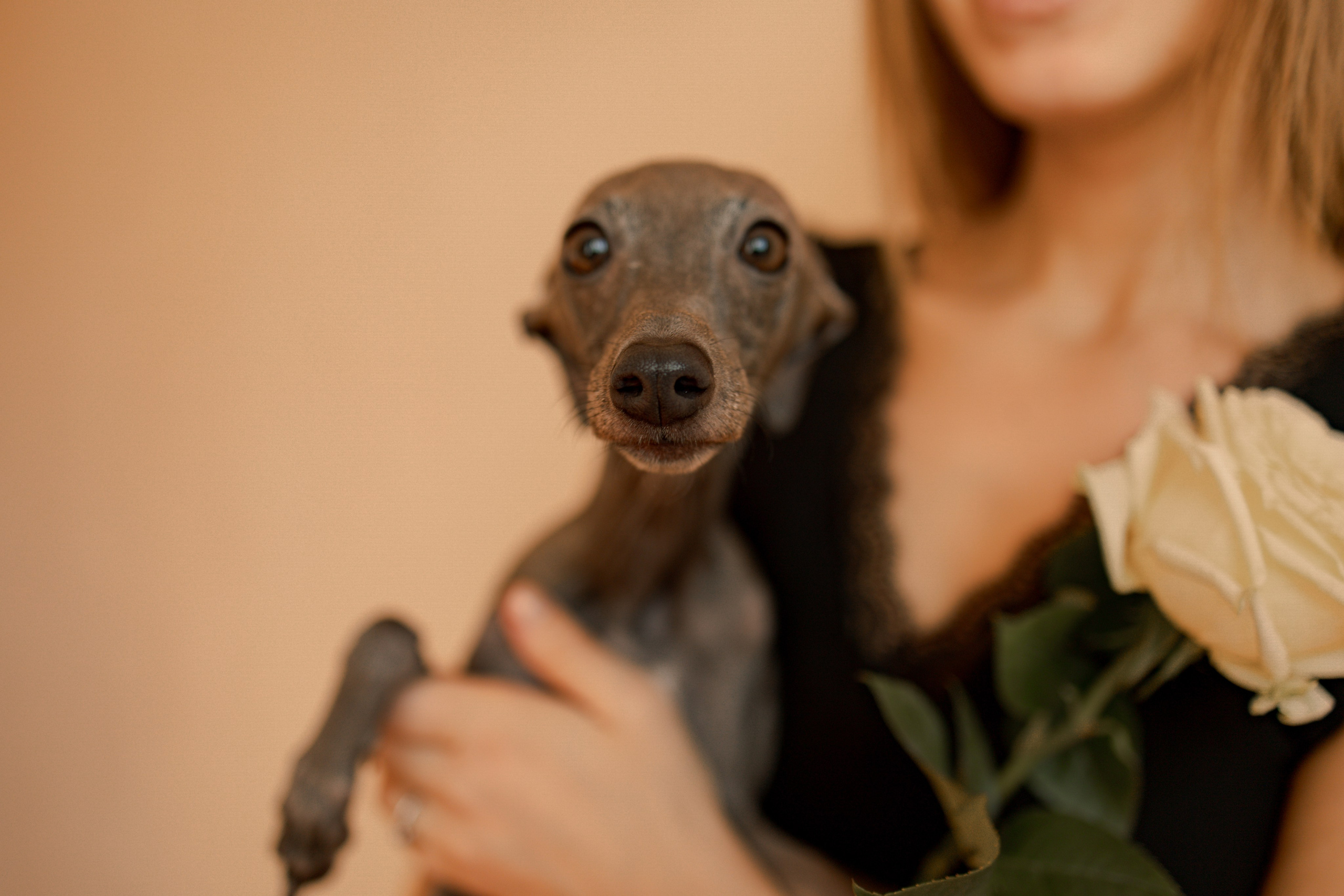 Ксюша и Луна. Фотограф — Анималист | Санкт-Петербург