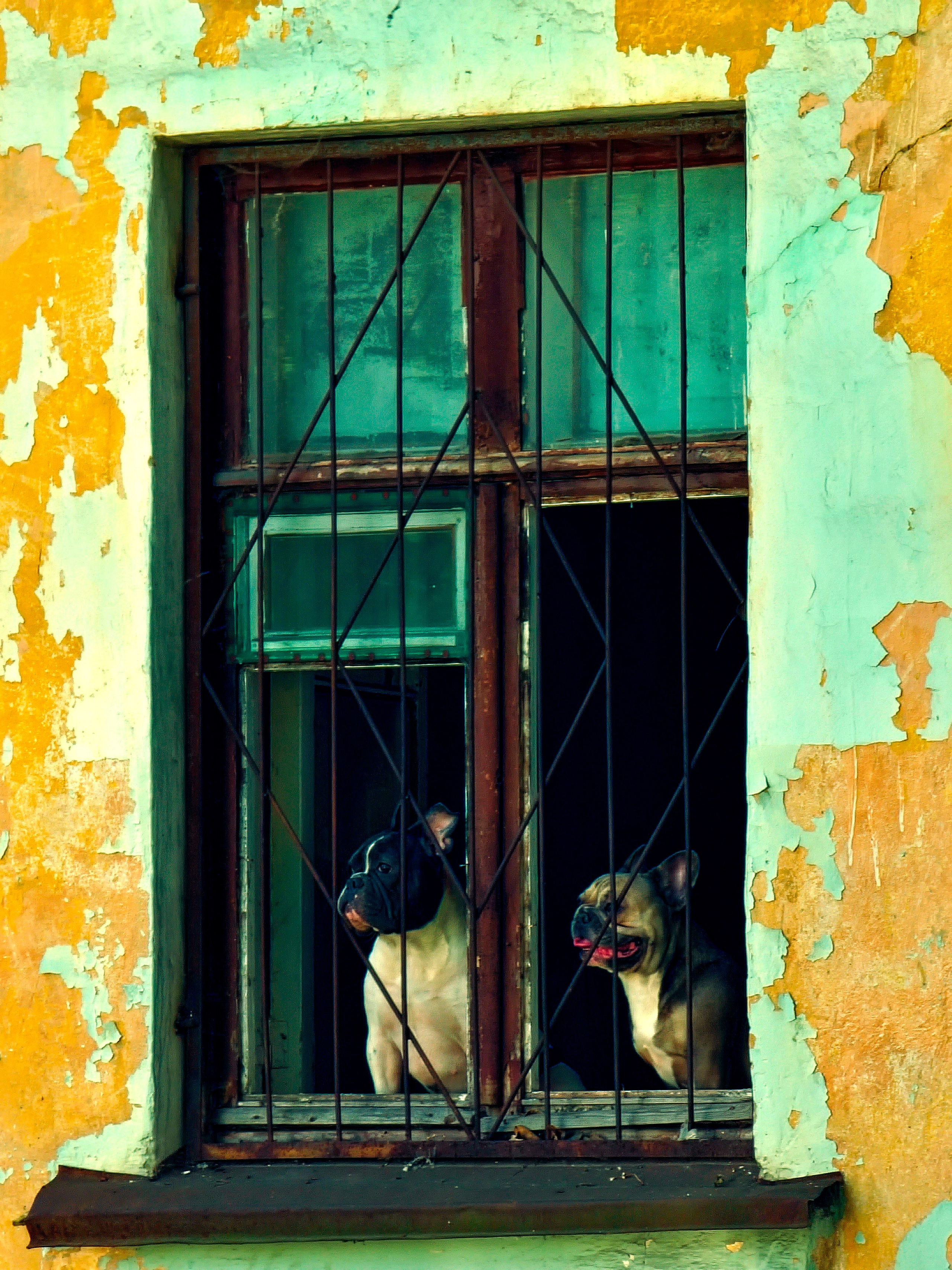 Июль 2025. Den Mirov — Фотограф, Музыкант