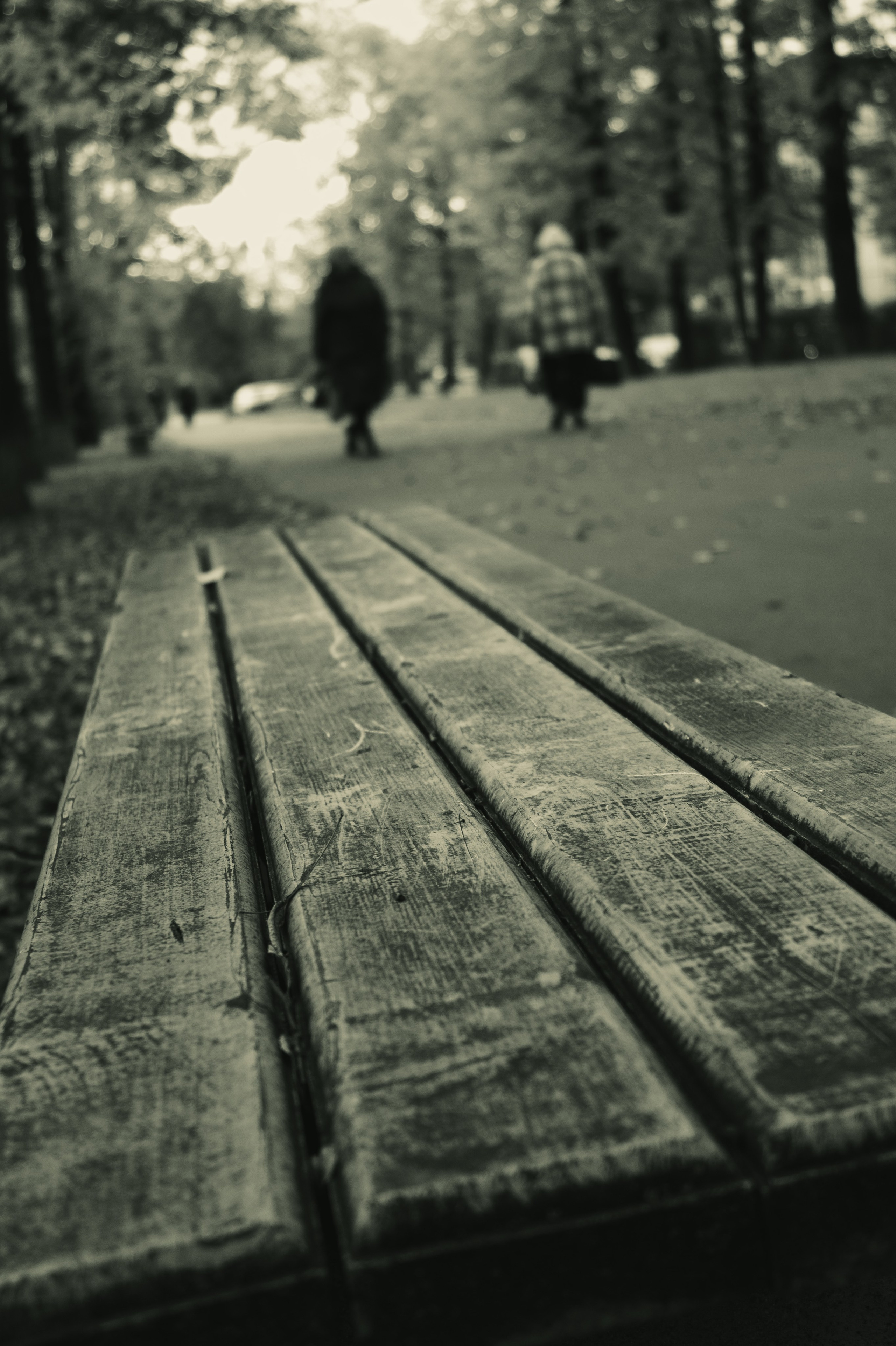 Сентябрь 2025. Den Mirov — Фотограф, Музыкант