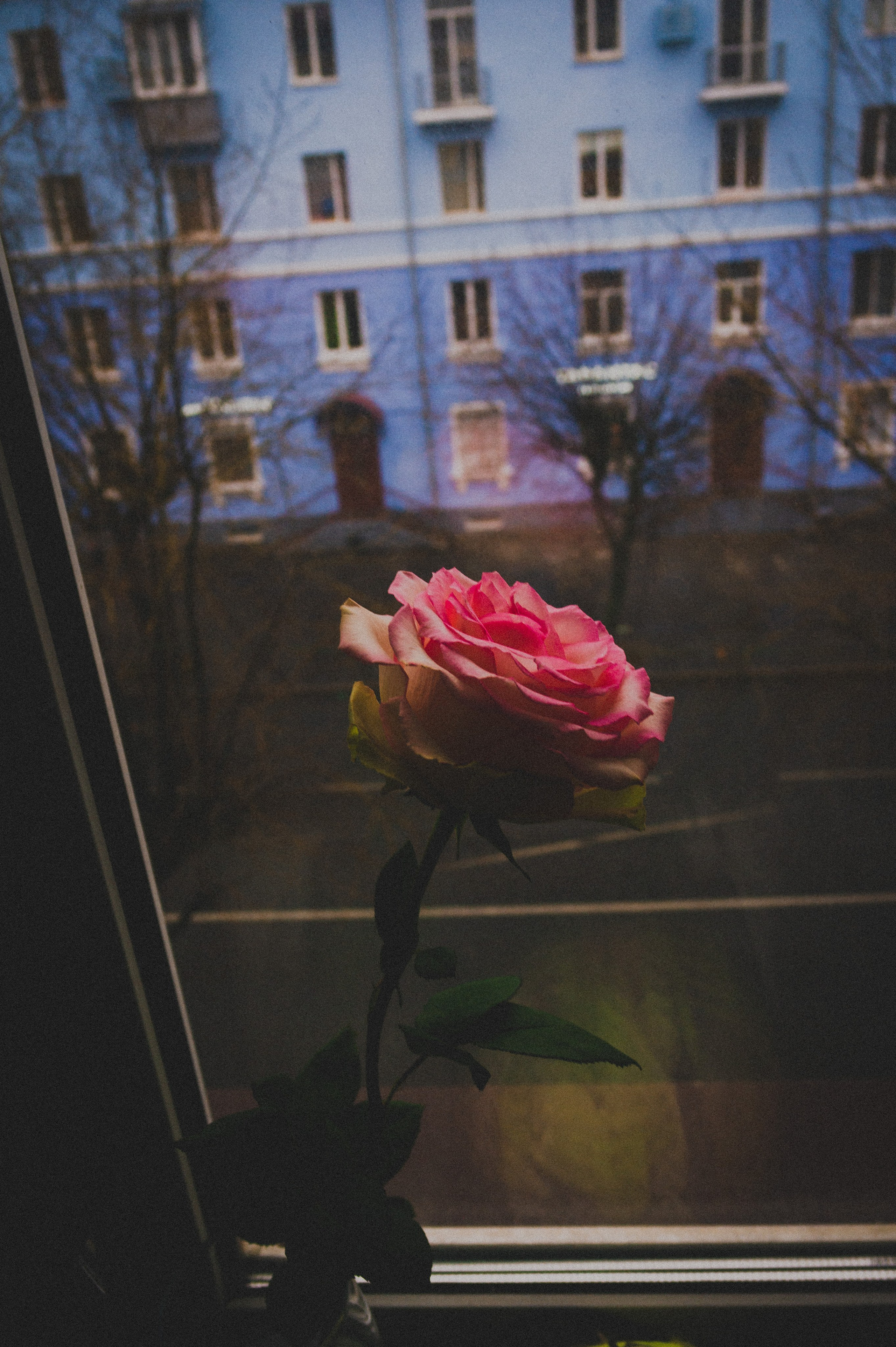 Встреча двух поэтов. Den Mirov — Фотограф, Музыкант