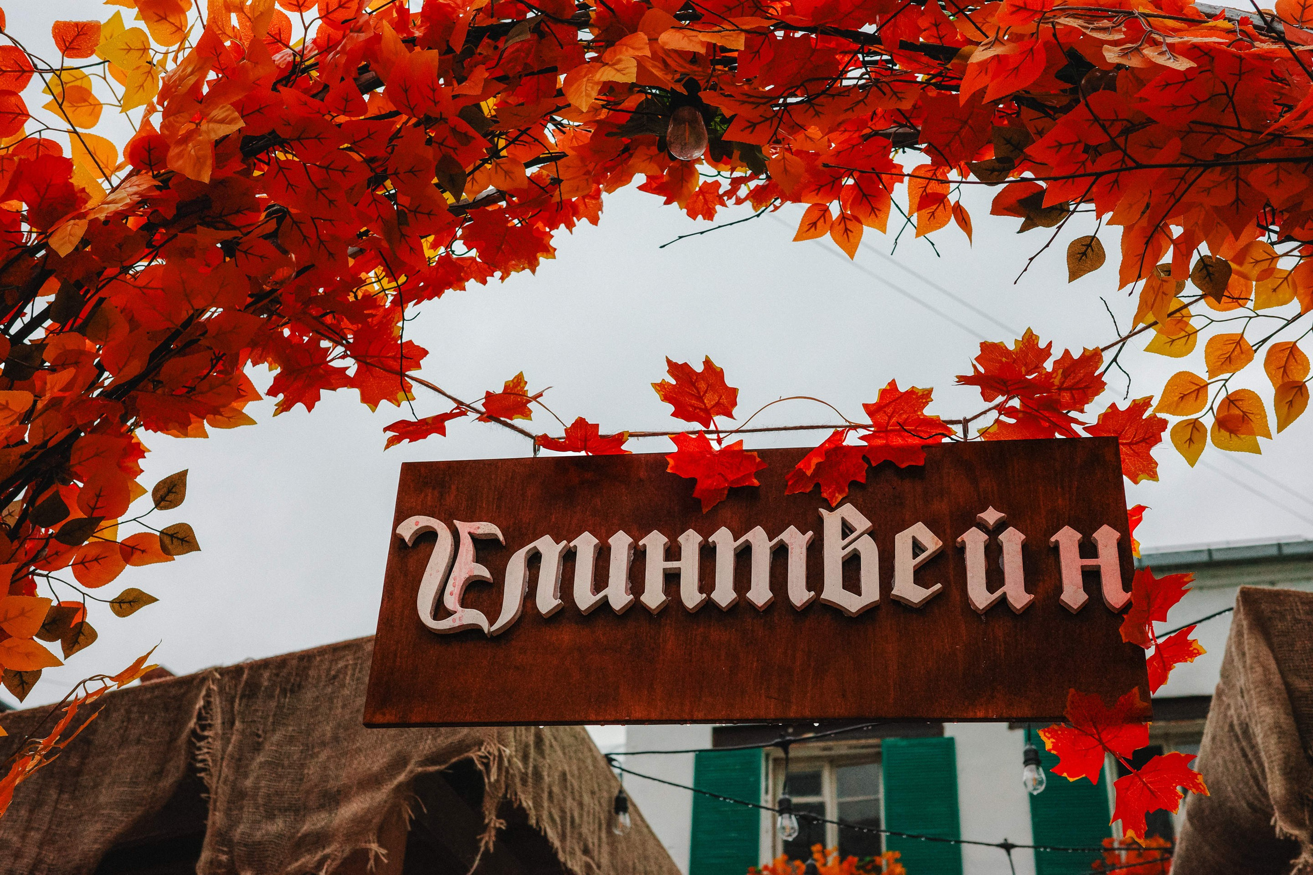 2024.11. Фотограф Алексей Алексеев