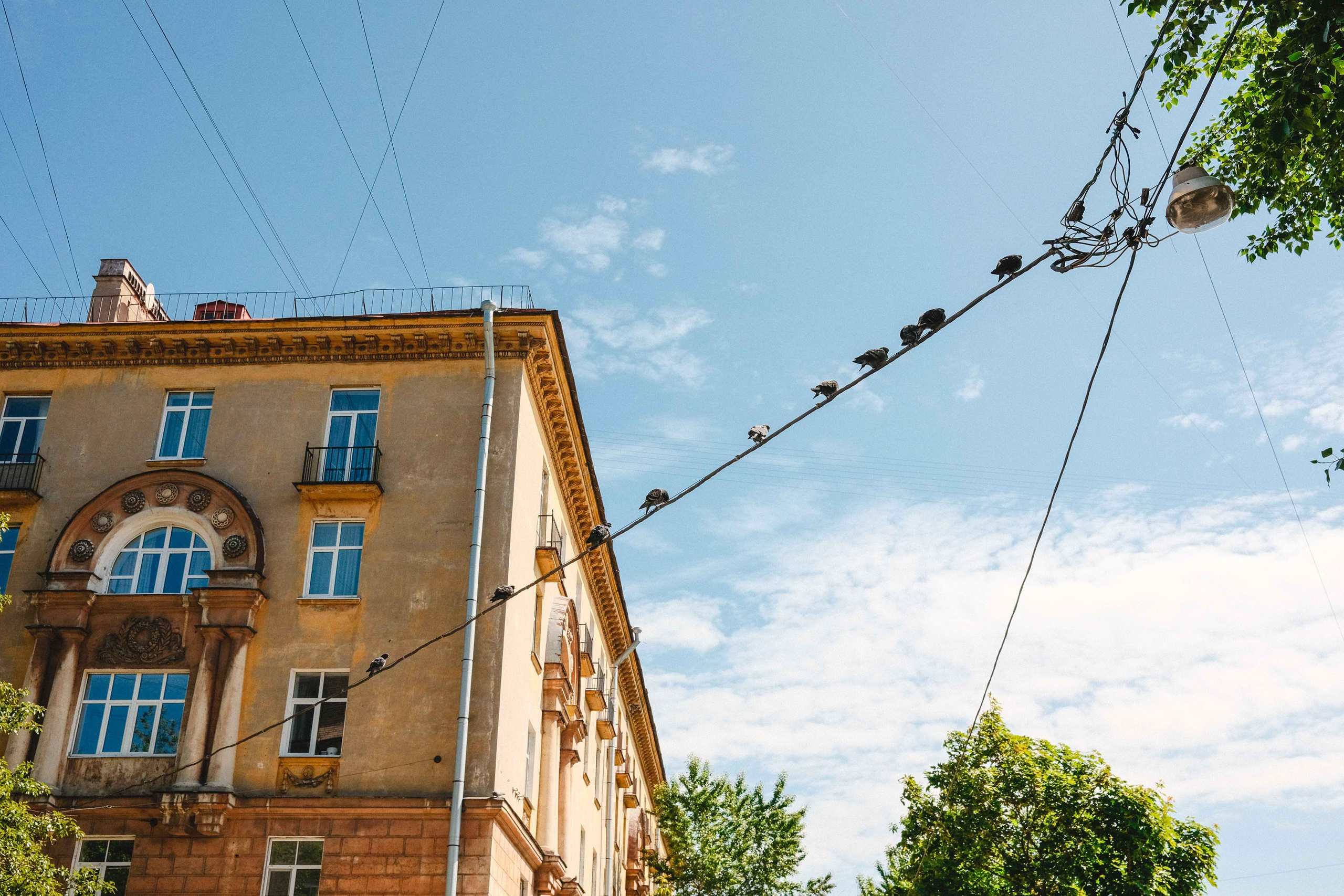 2023.05. Фотограф Алексей Алексеев