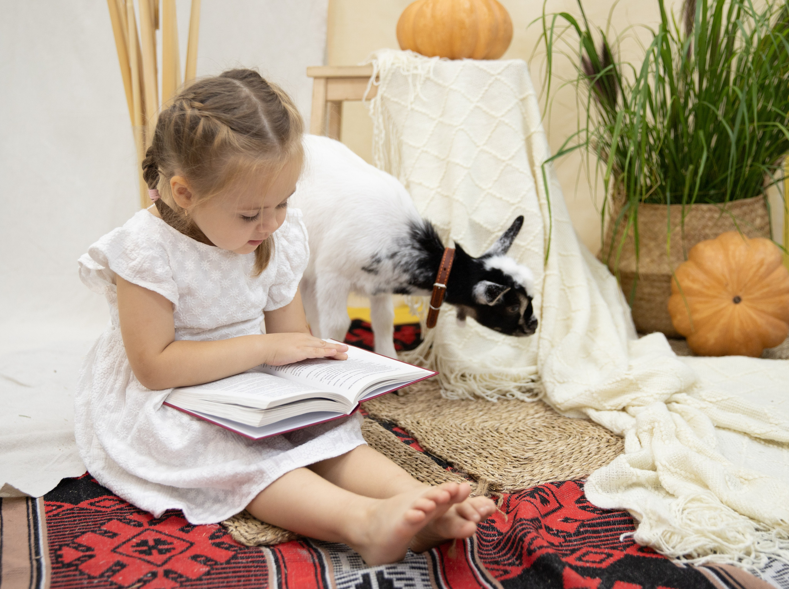 Осень Тыквы. Лучший фотограф Краснодара (по версии моей мамы)