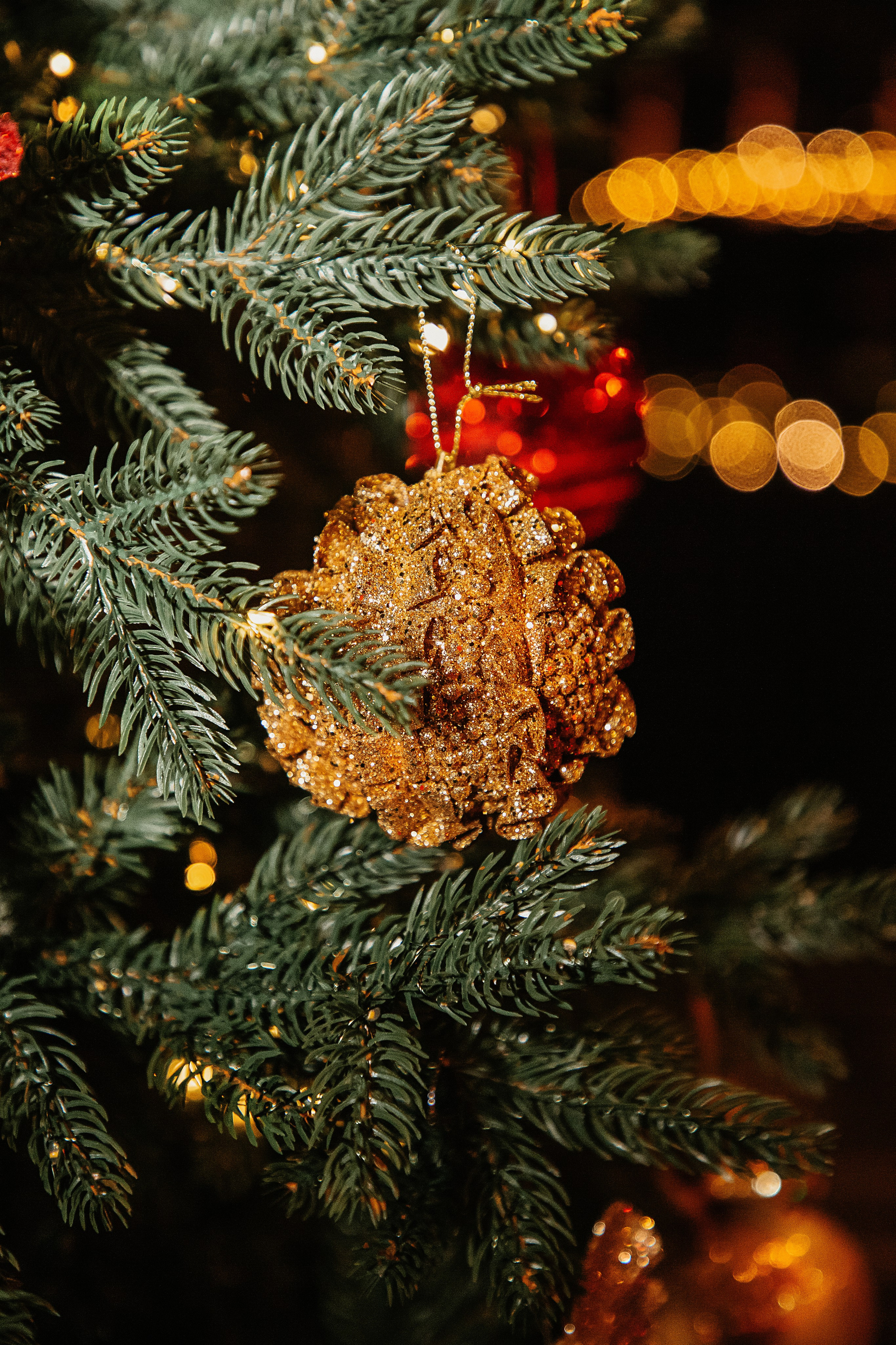 Заставки. Свадебный и семейный фотограф/видеограф в Краснодаре Наталья Осинская