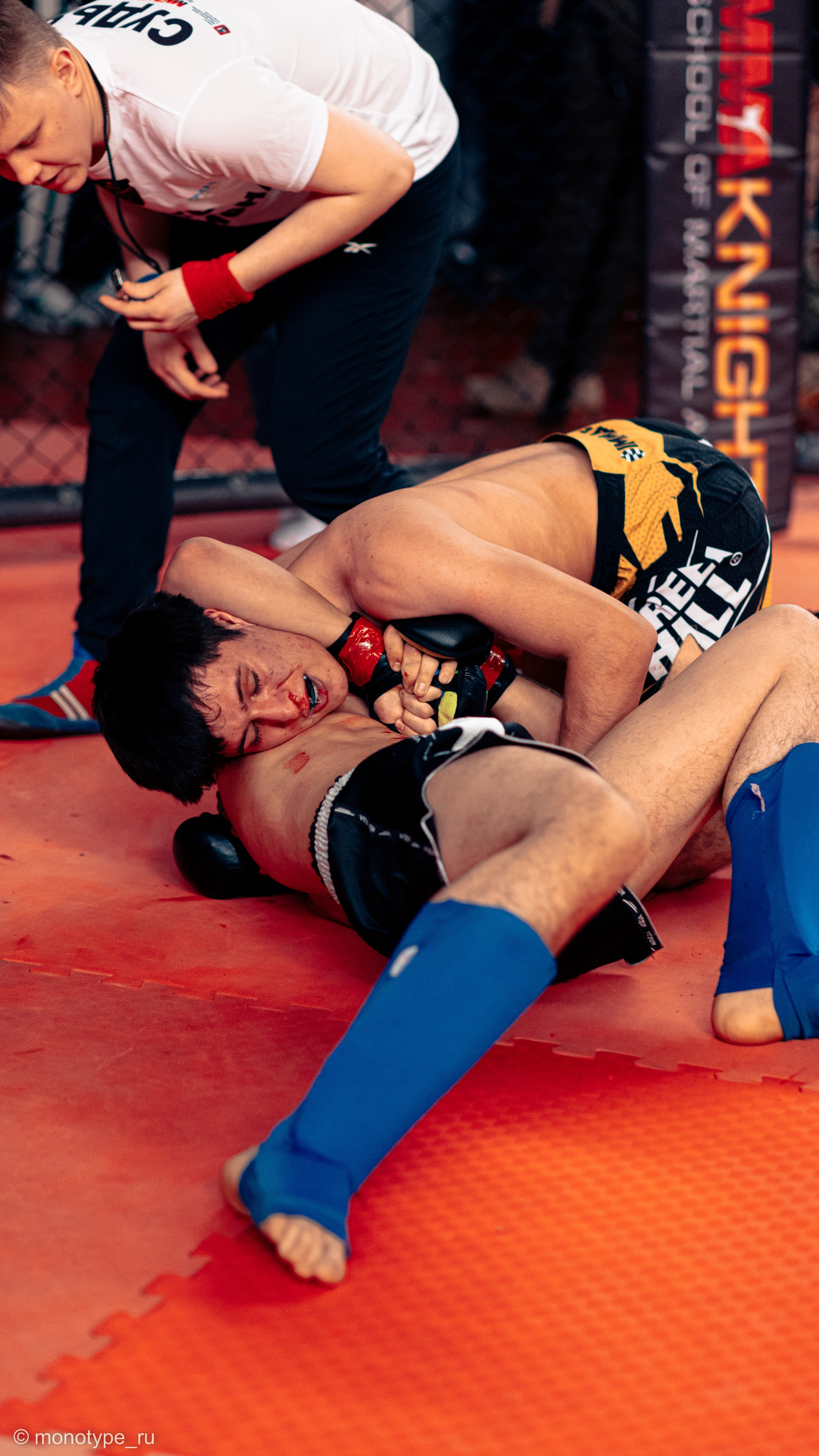 MMA. Бойцовский турнир