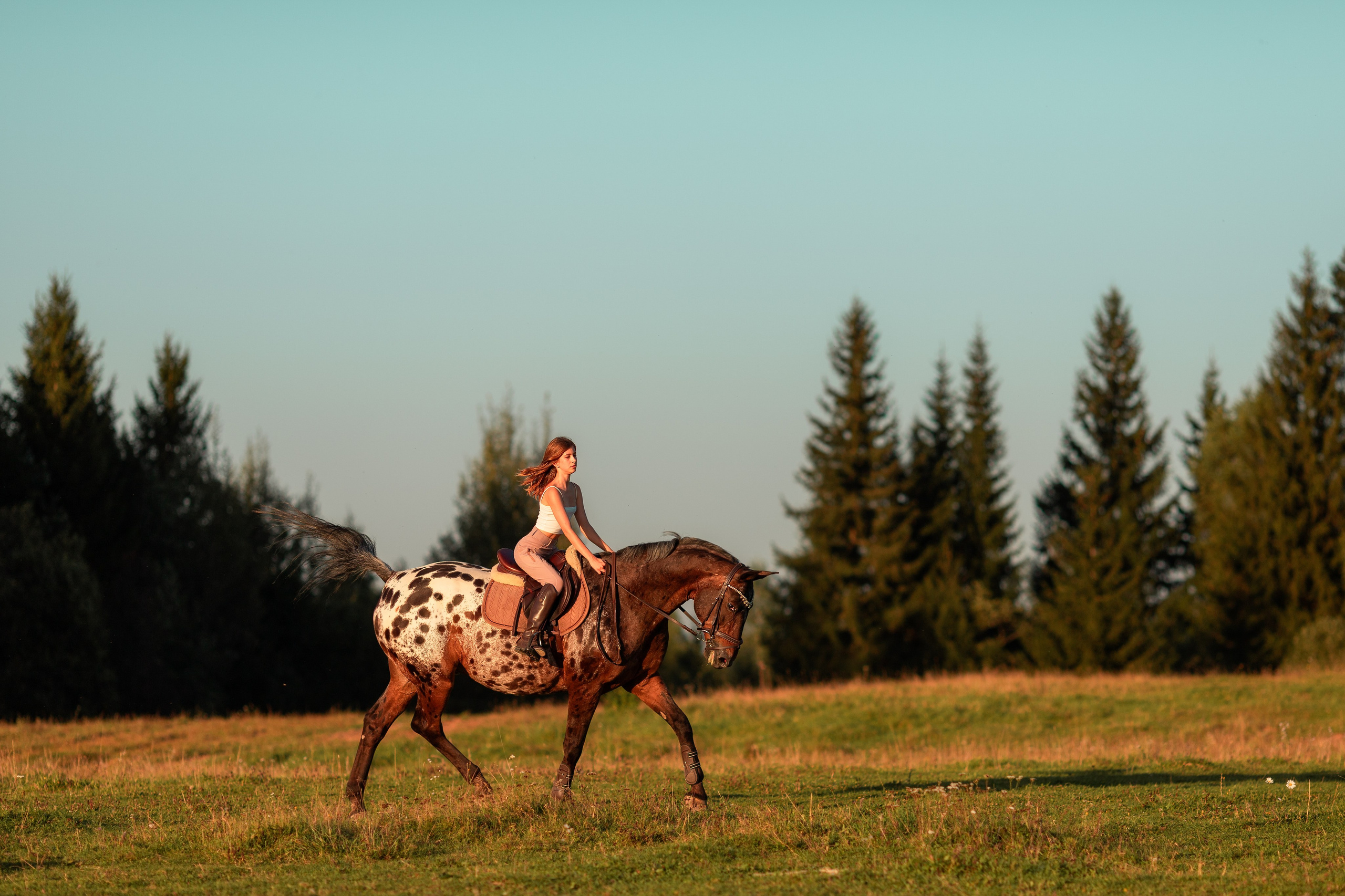 Фотосессия с лошадьми на закате. Фотосессии с лошадьми в Москве от Конный фотографа Кутейниковой Светланы
