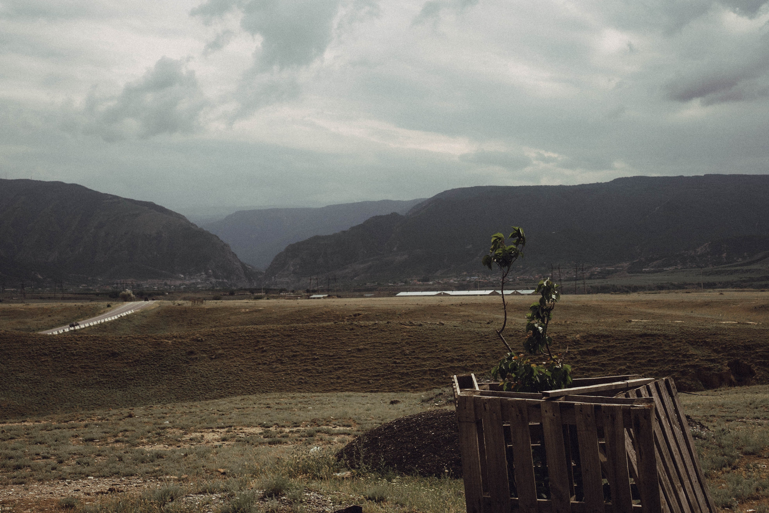 Кавказ. Профессиональный фотограф, Санкт-Петербург — Виктория Богомолова