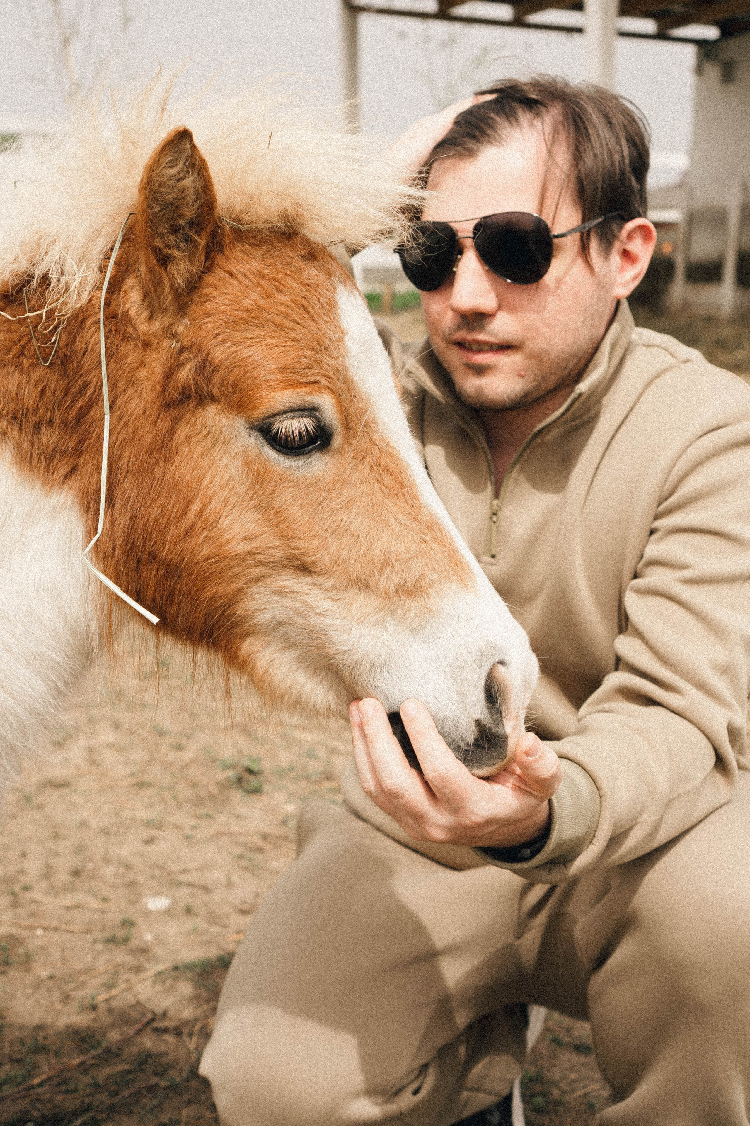 Ферма Альпак. Профессиональный фотограф, Санкт-Петербург — Виктория Богомолова