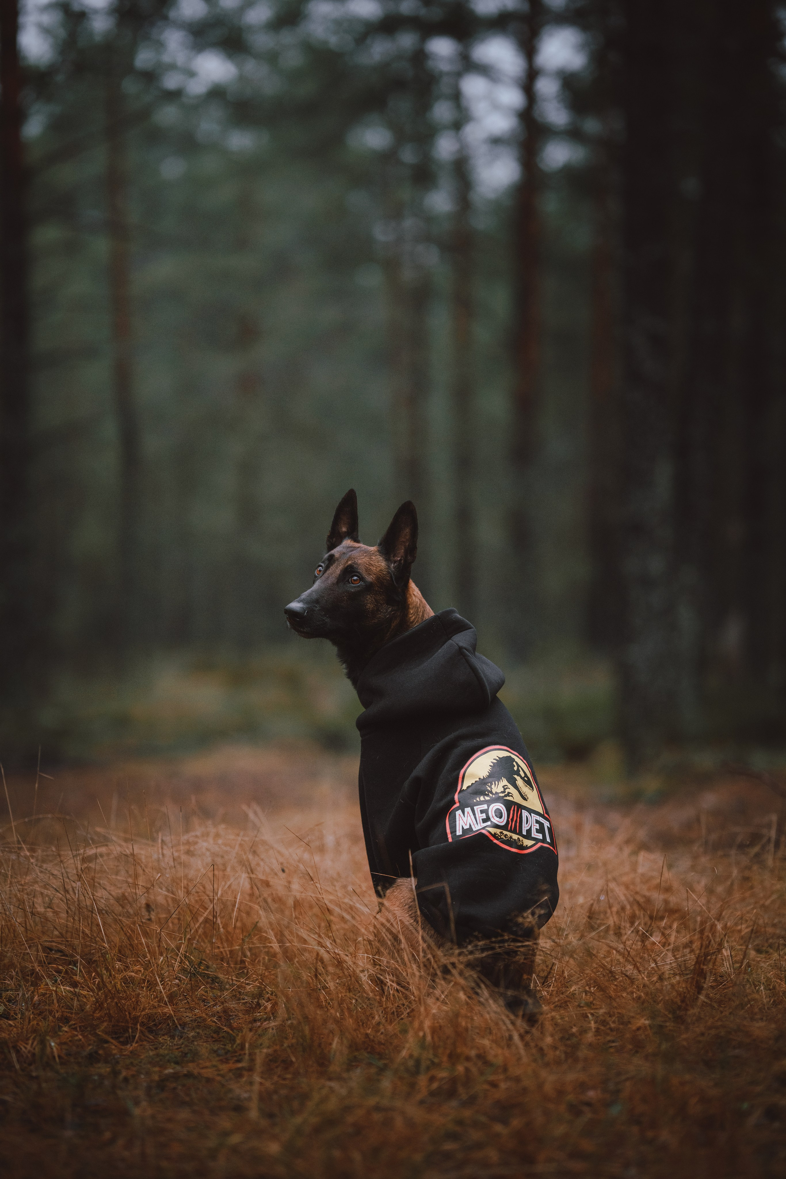 Раш. Фотограф анималист Осипчикова Мария