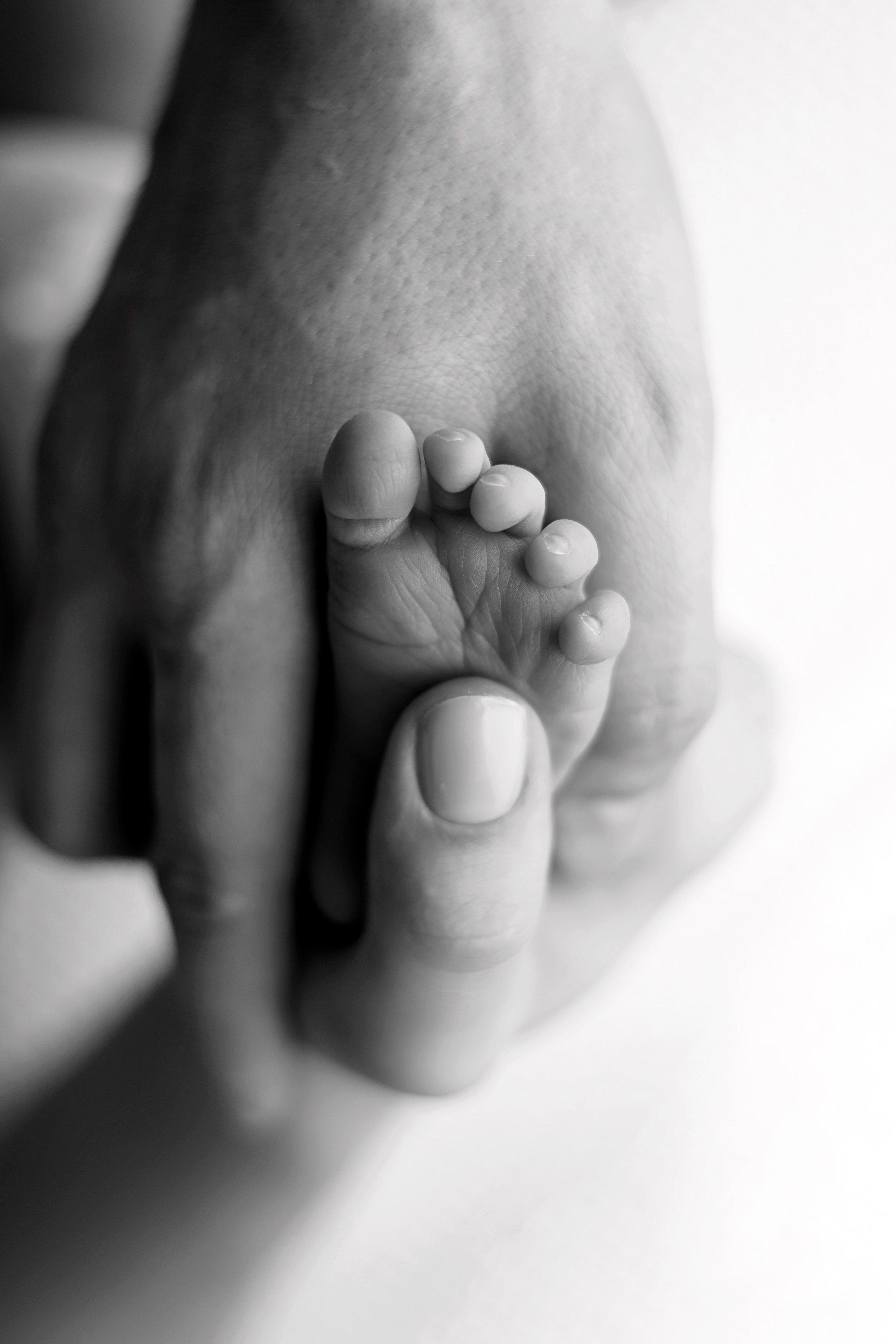 Фотограф новорожденных в Москве Светлана Столярова. Фотограф новорожденных Москва. Ньюборн фотограф Москва