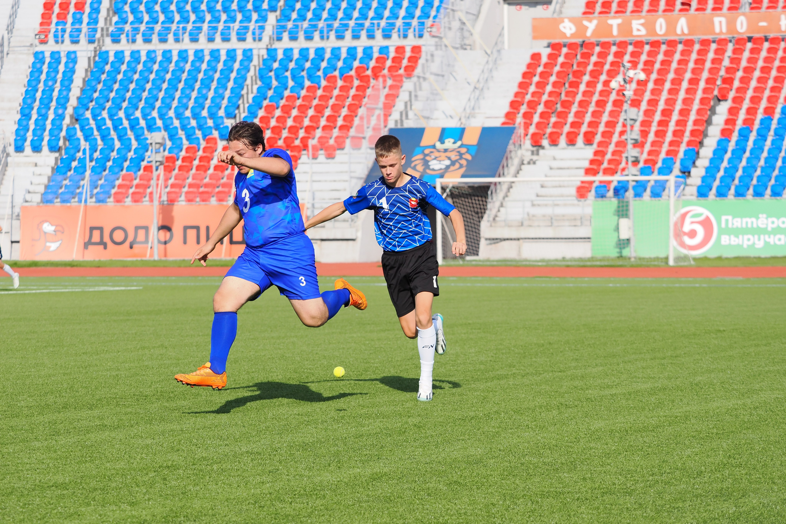 Всероссийские соревнования по русской лапте. Репортажный фотограф Алексей Козьмин
