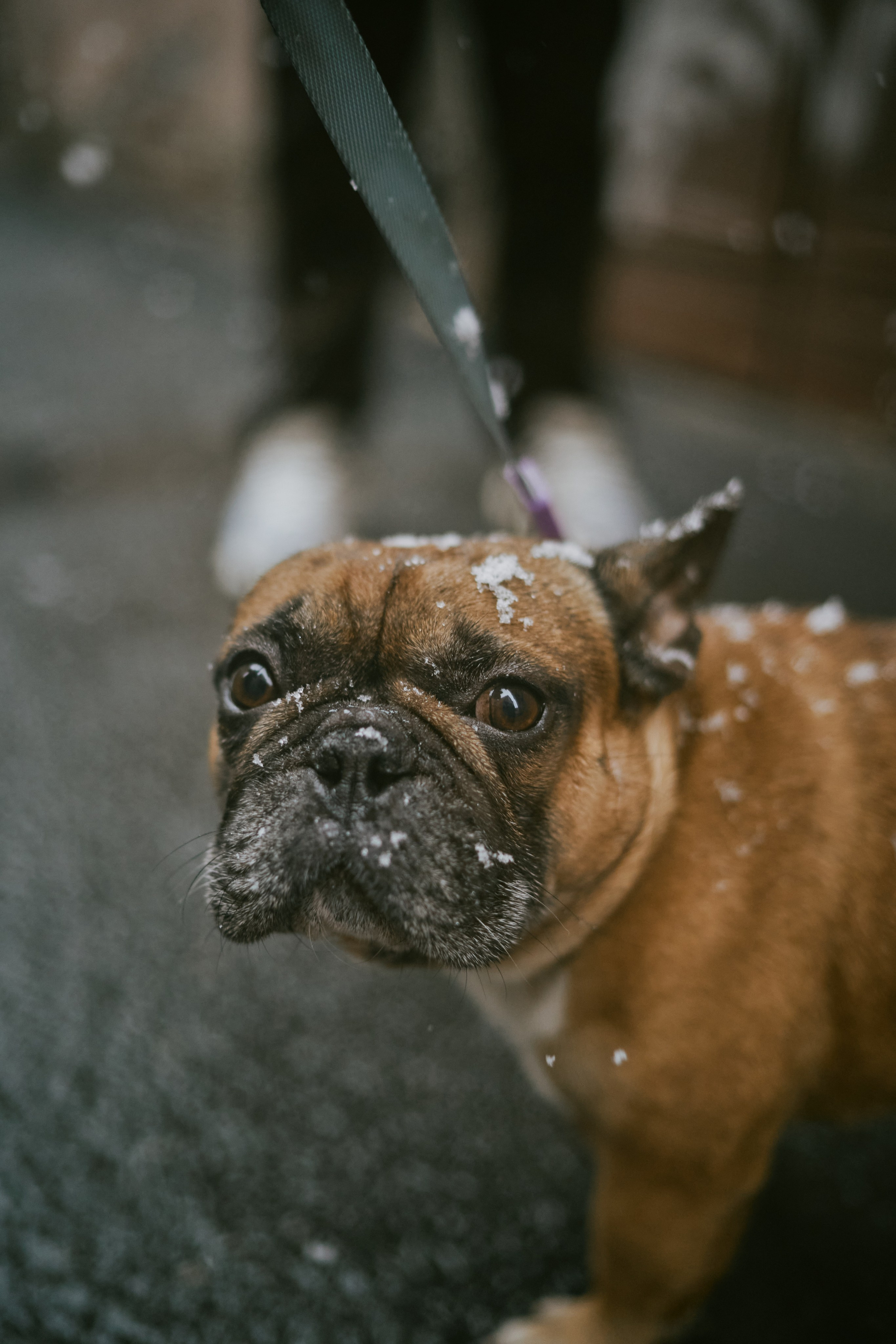 Лена и Кирилл. Фотограф в Санкт-Петербурге | Аня Маленчук