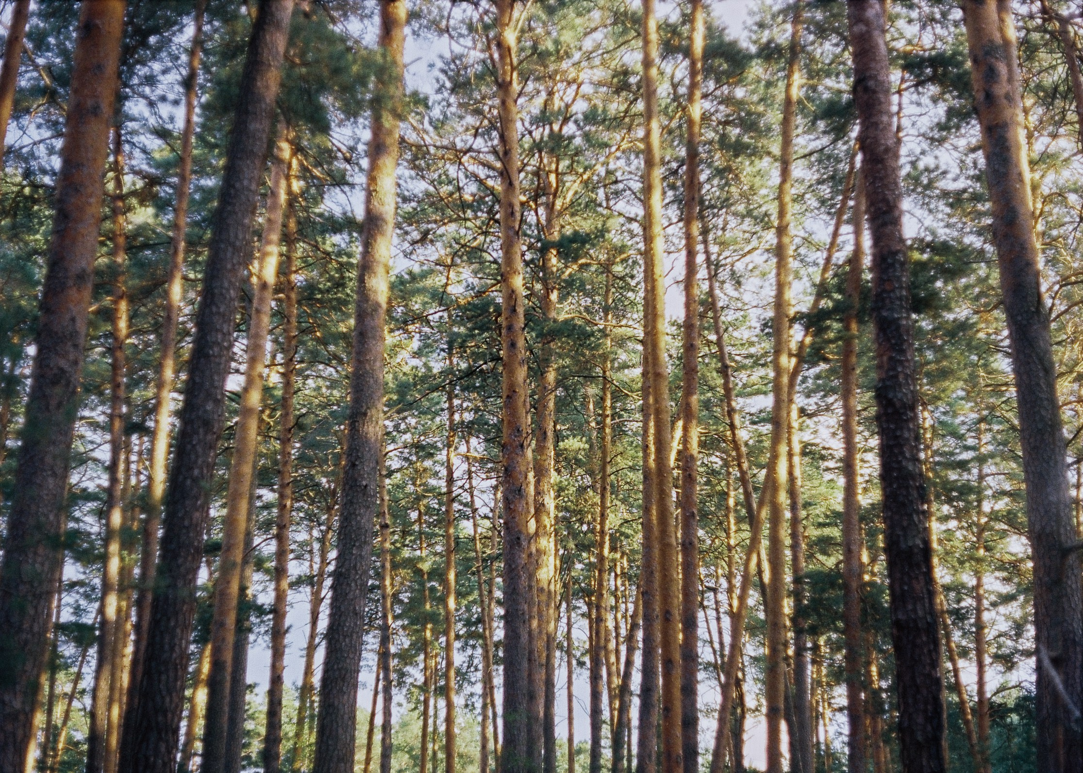 Рязань. Polinanazar//Полина Назарова, фотохудожник