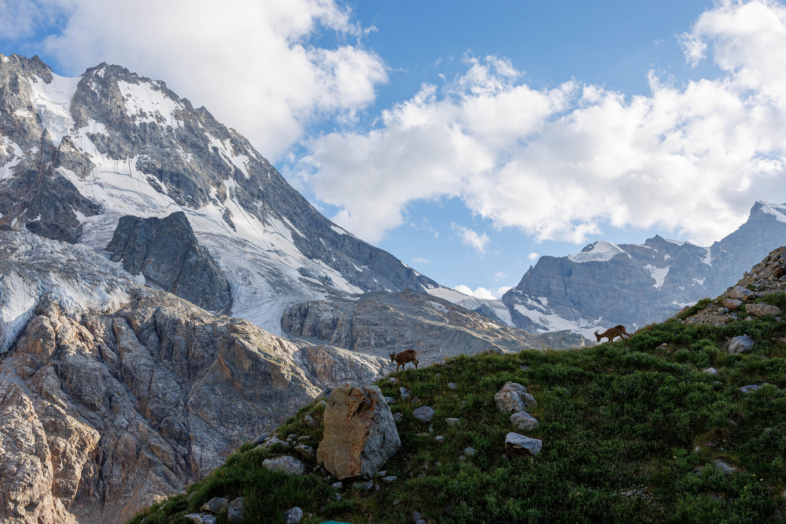 Путешествия. Фотограф в Москве Повеквечных Софья