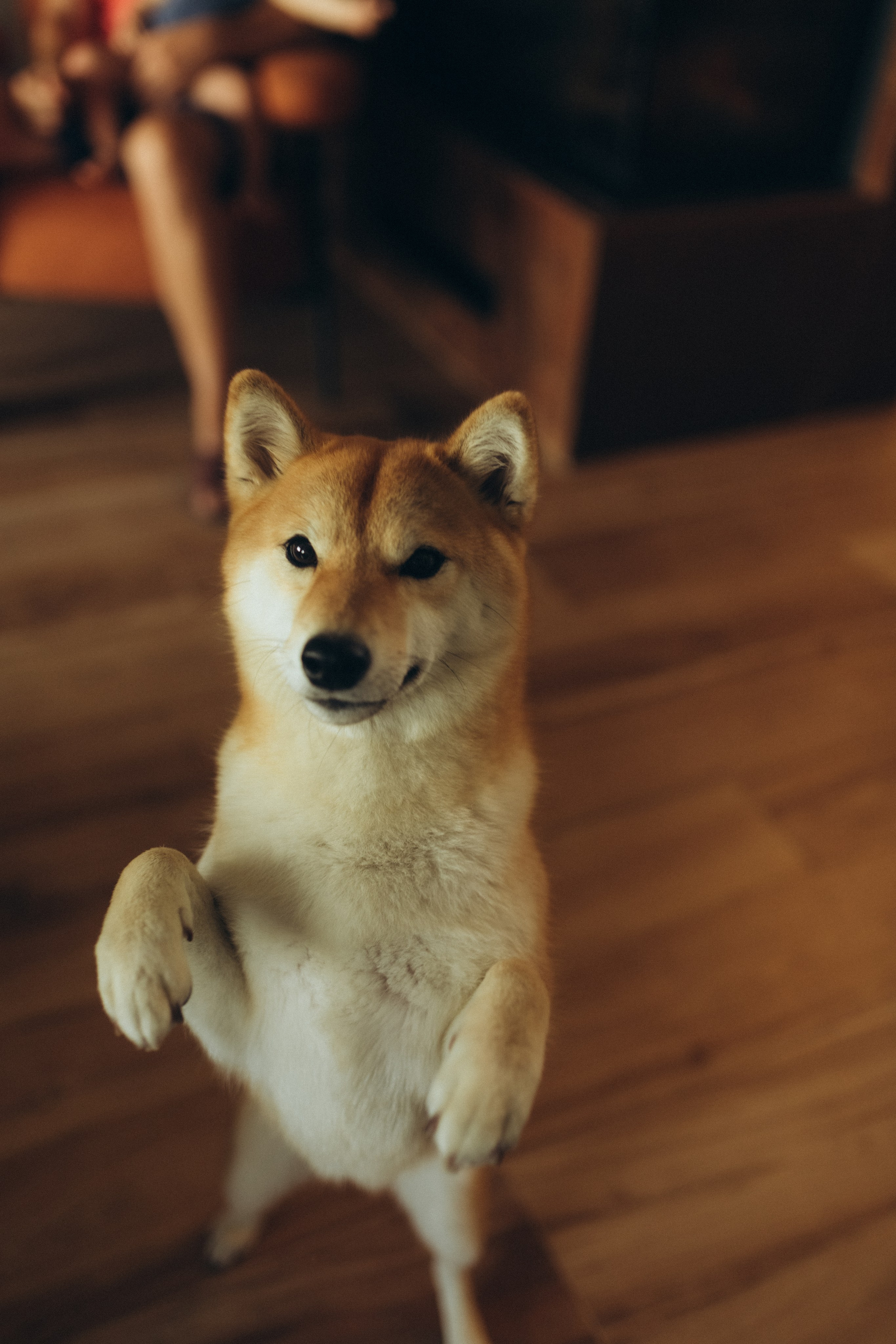 Дружба с детства. Фотограф из Петербурга