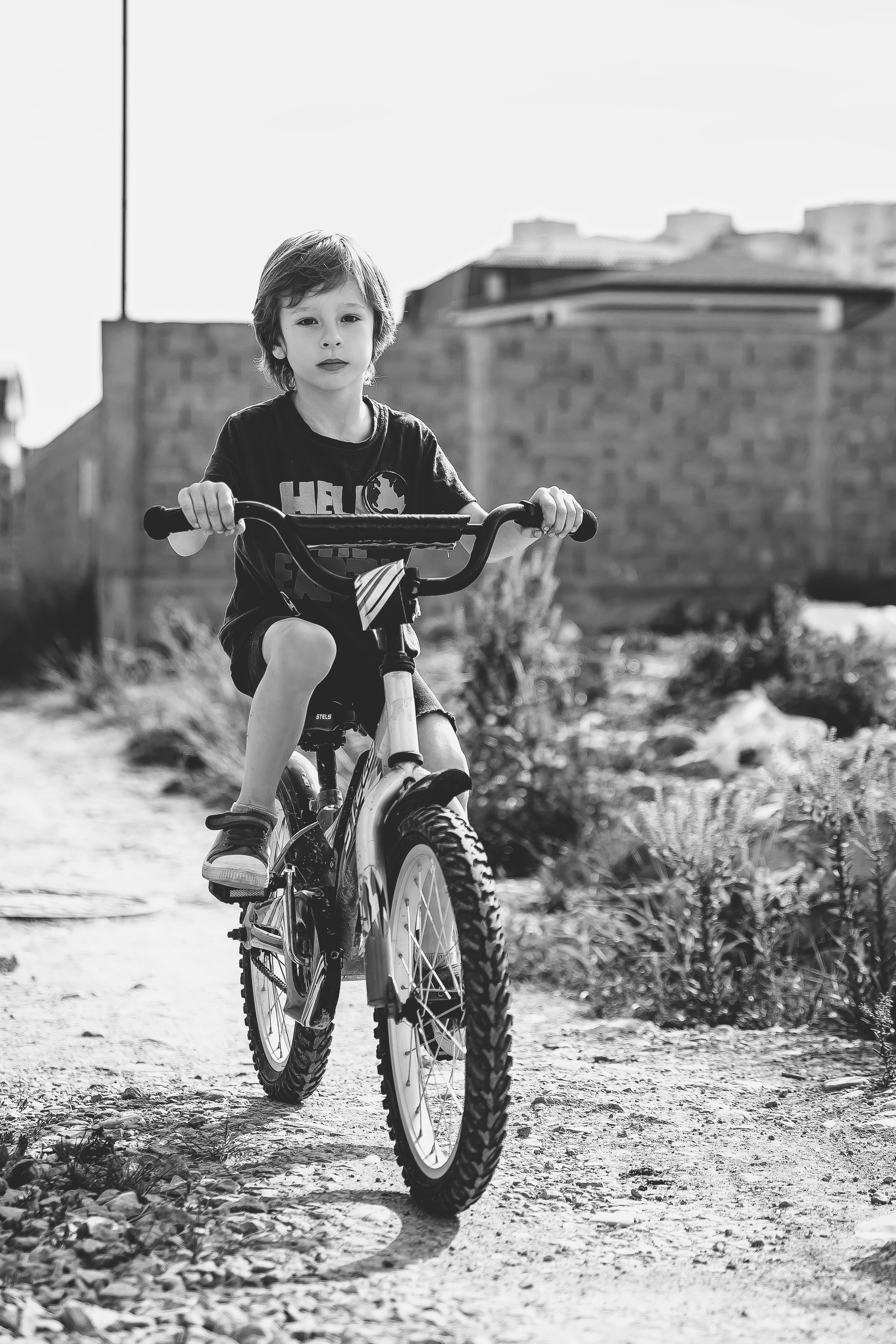 Тарас. Май 2025. Свадебный и семейный фотограф Колоскова Мария (Сочи и весь мир)