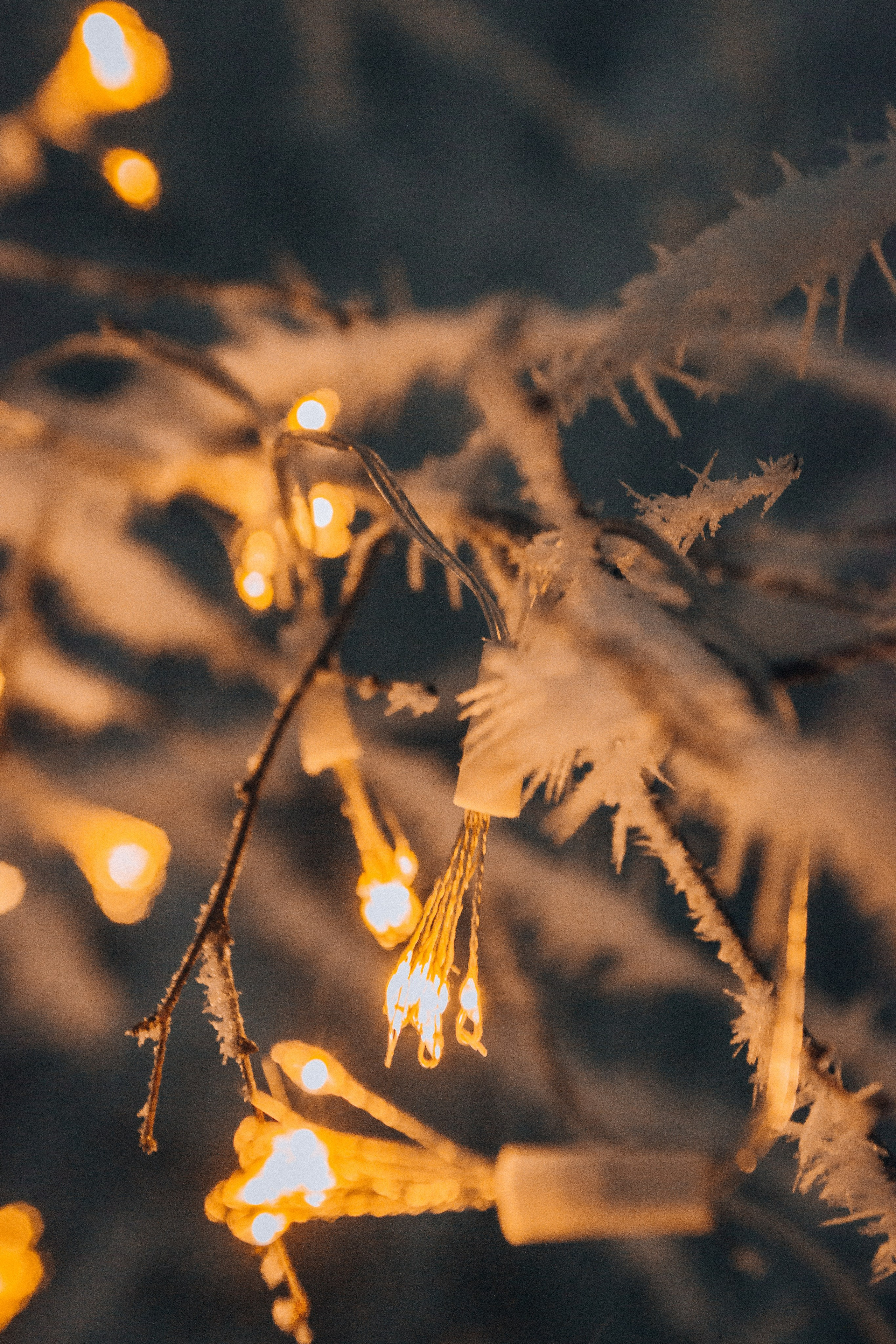 Alyona N. Фотограф Артём Гусев