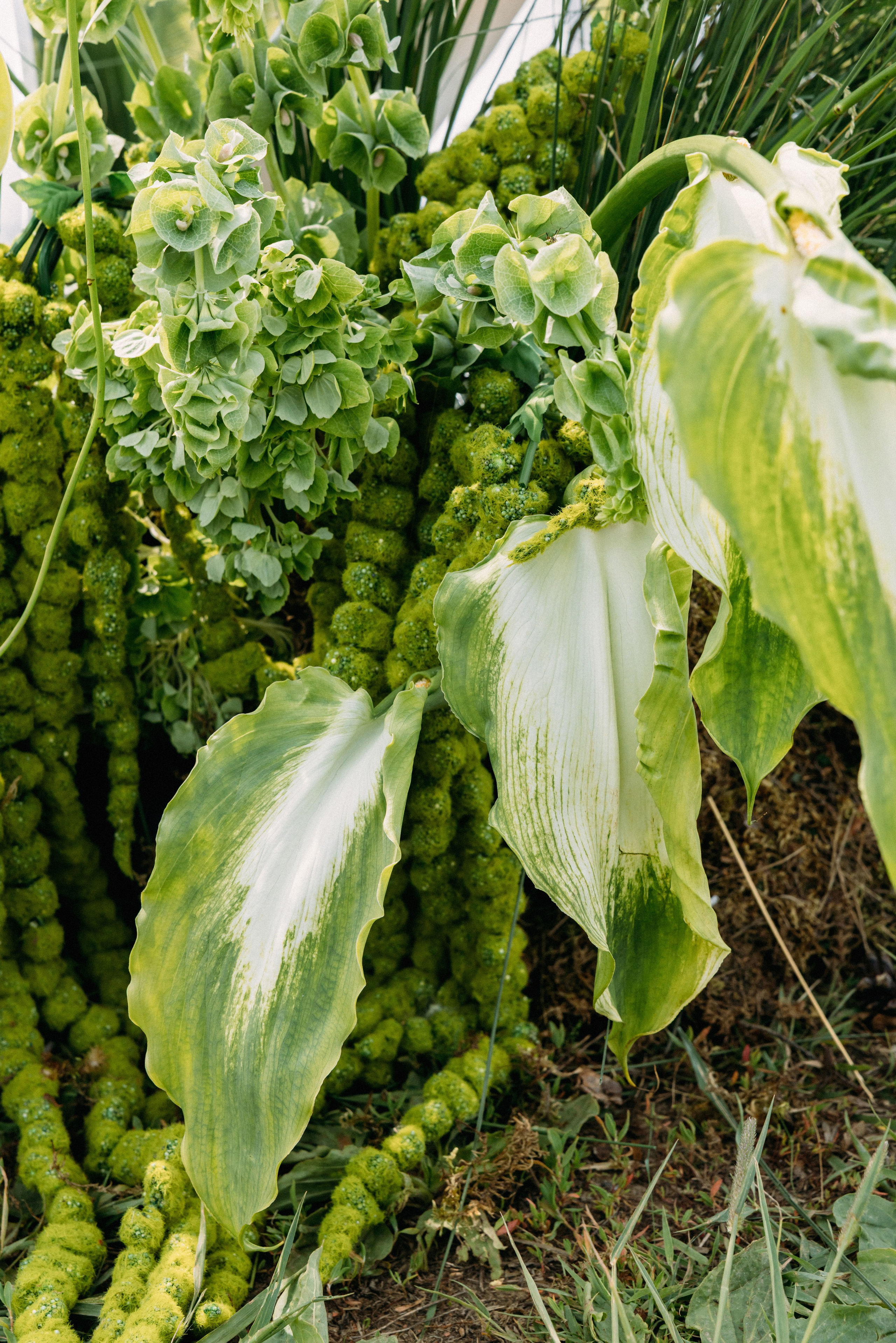 @avtors.agency. Свадебный и репортажный фотограф в Москве Владимир Сергеев | Naysaikolo