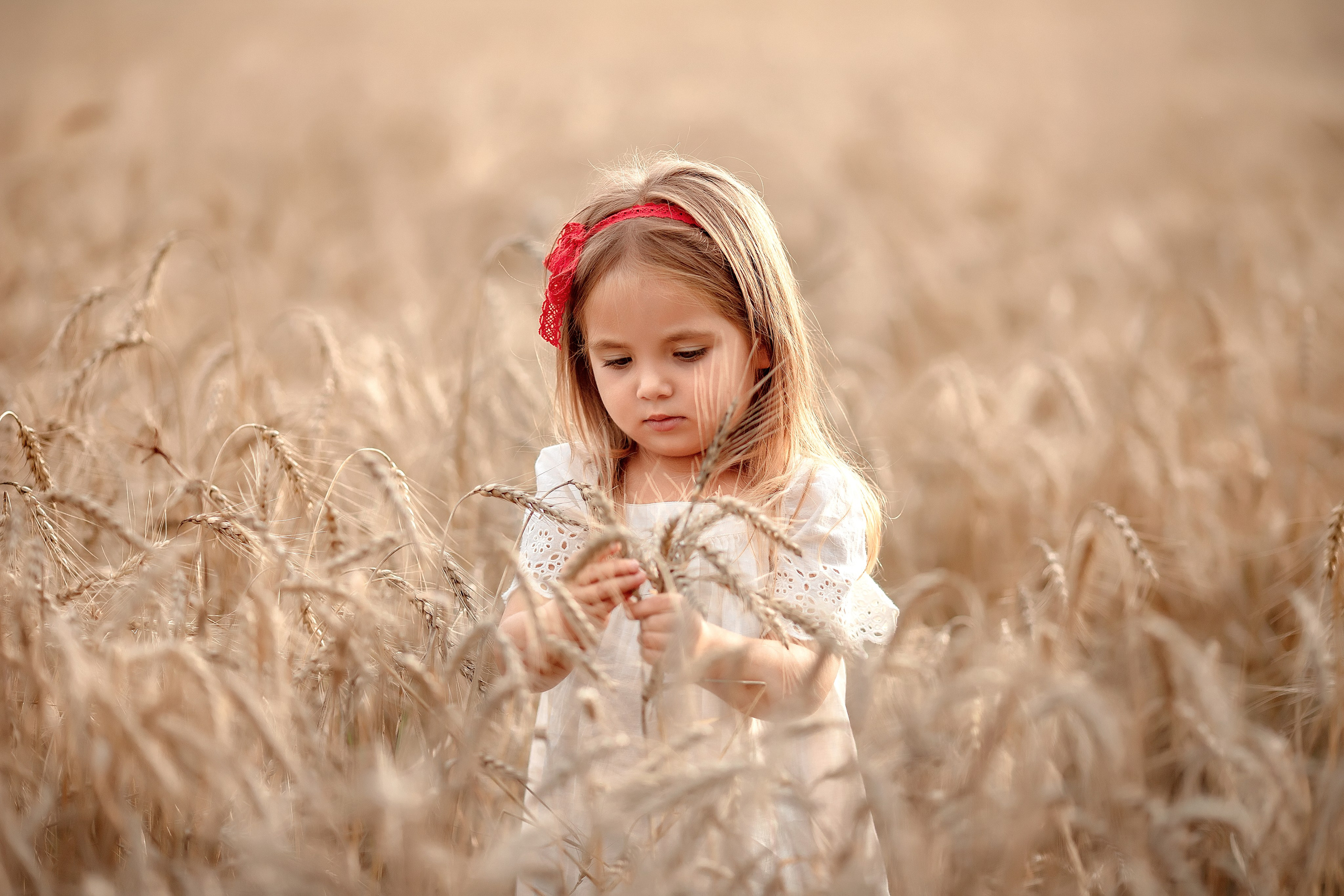 Свадебный и семейный фотограф в Туле и Москве Полукарова Юлия