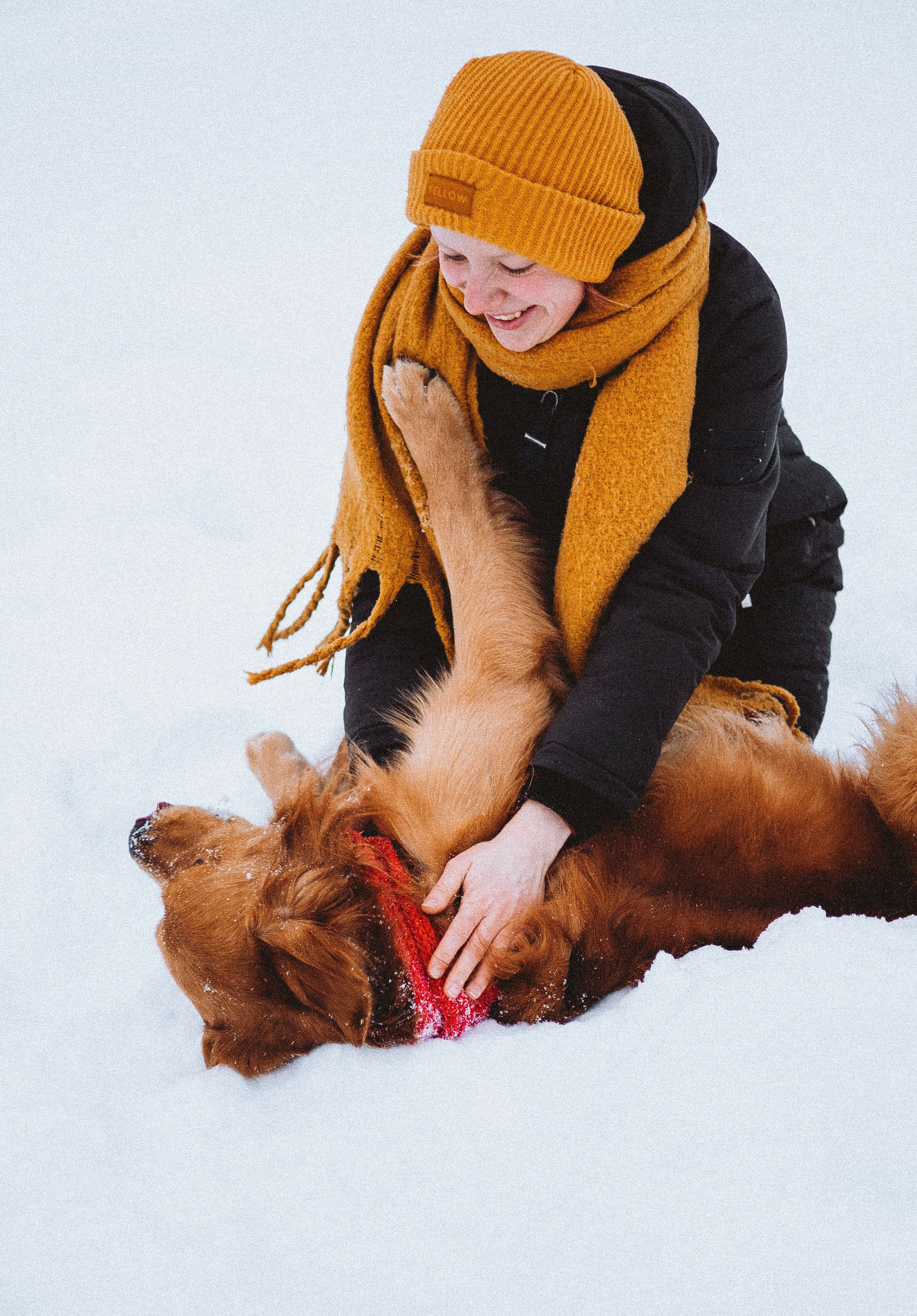 Саша, Юля, Грэй и Джой. Фотограф-анималист Богданова Полина