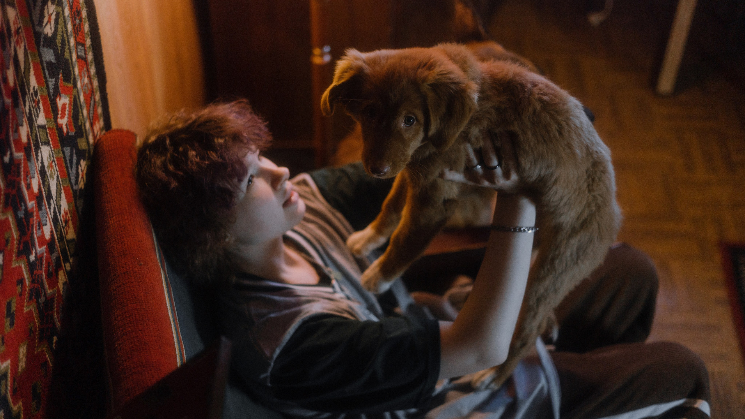 Лера, Реджи и Ральф. Фотограф-анималист Богданова Полина