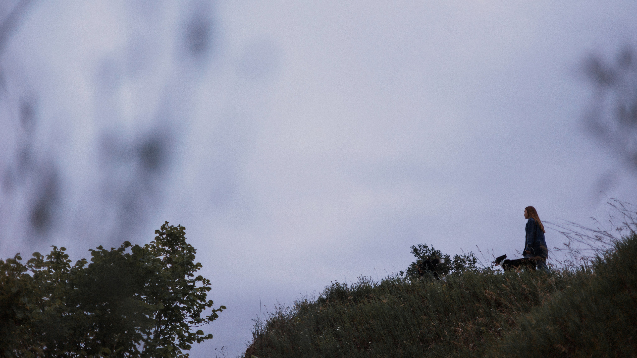 Аделя, Вандер, Шайна и Бая. Фотограф-анималист Богданова Полина