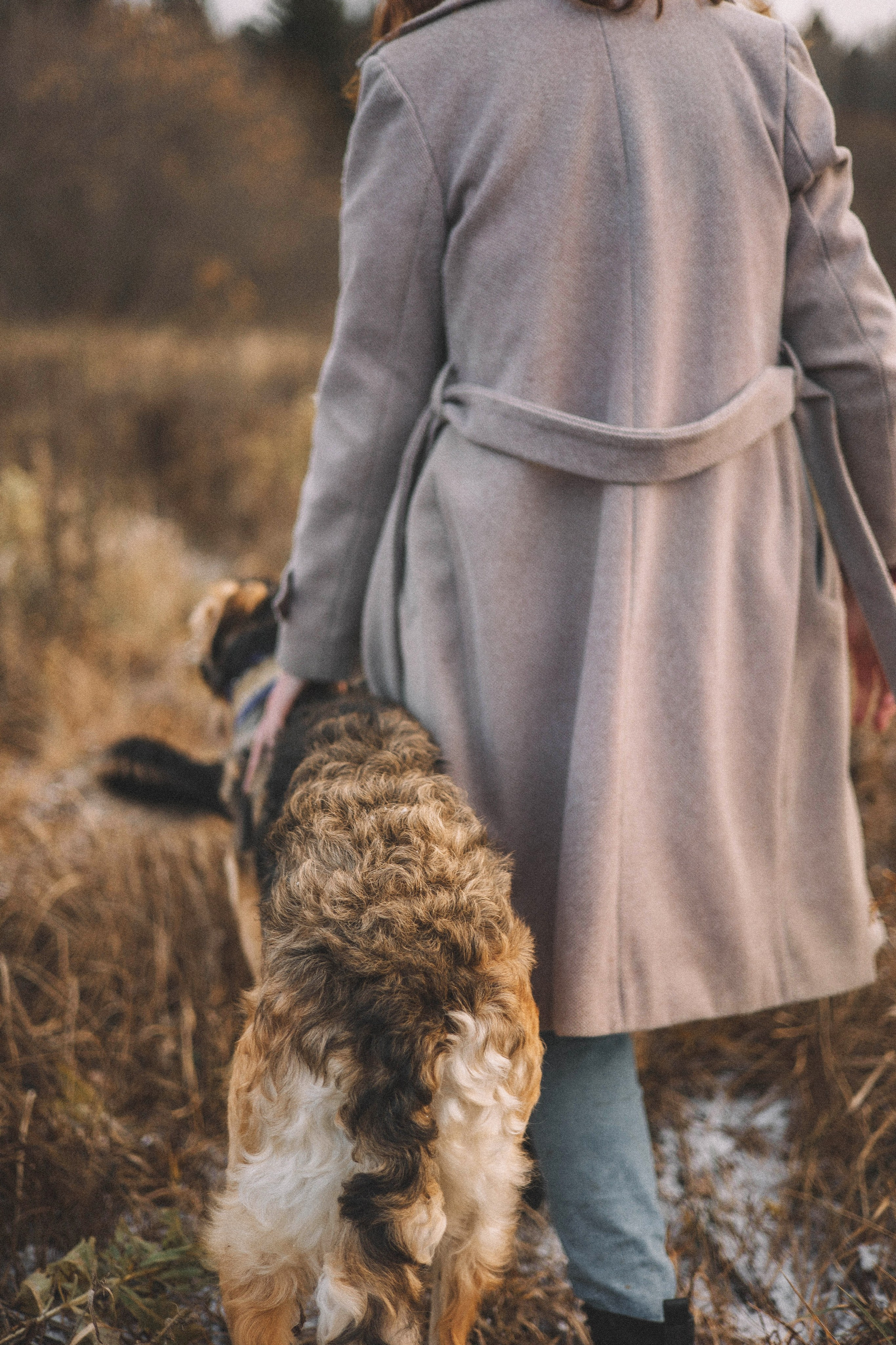 Алена, Леви и Микаса. Фотограф-анималист Богданова Полина