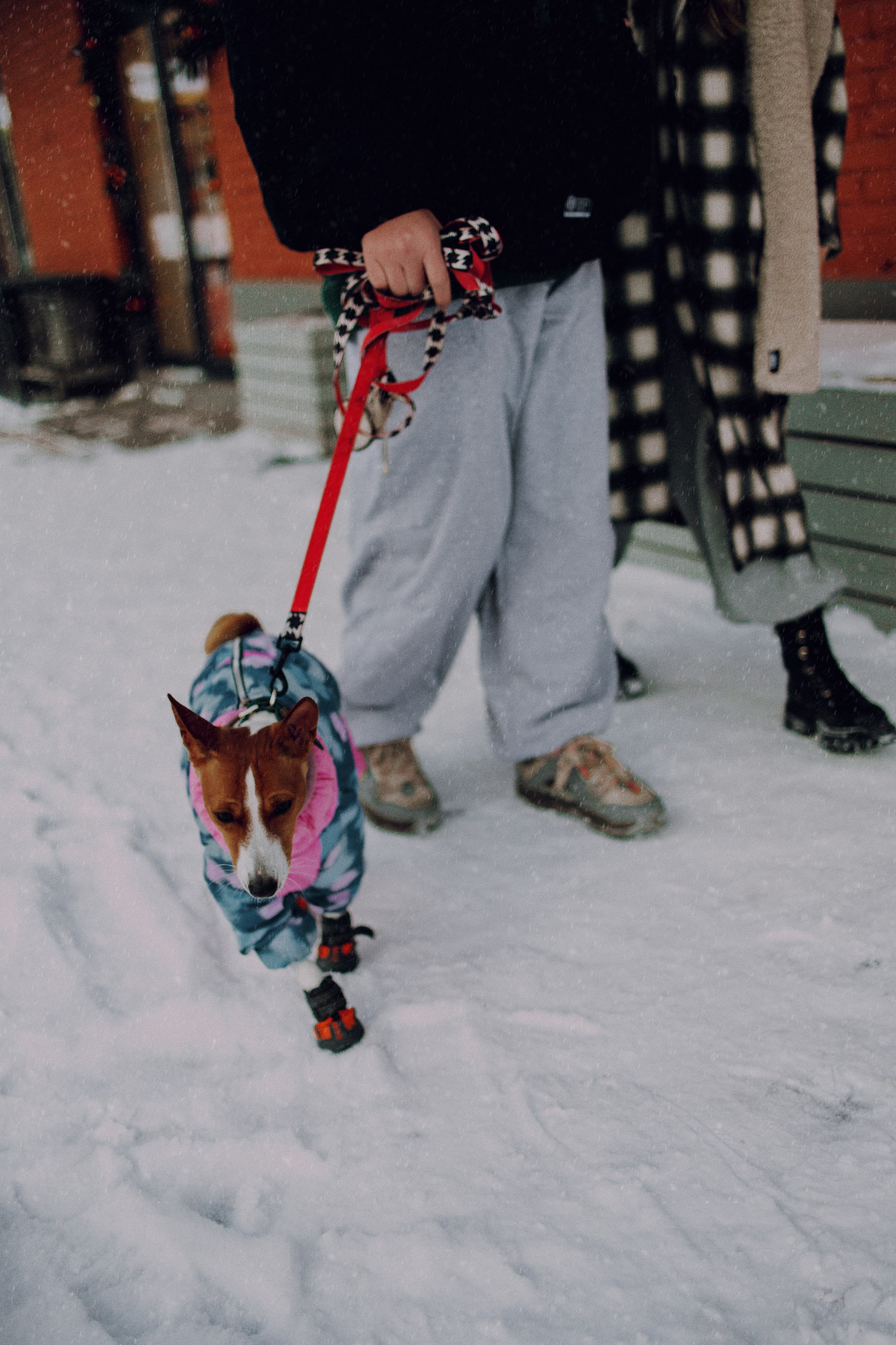 Люба, Никита и Бахати. Фотограф-анималист Богданова Полина