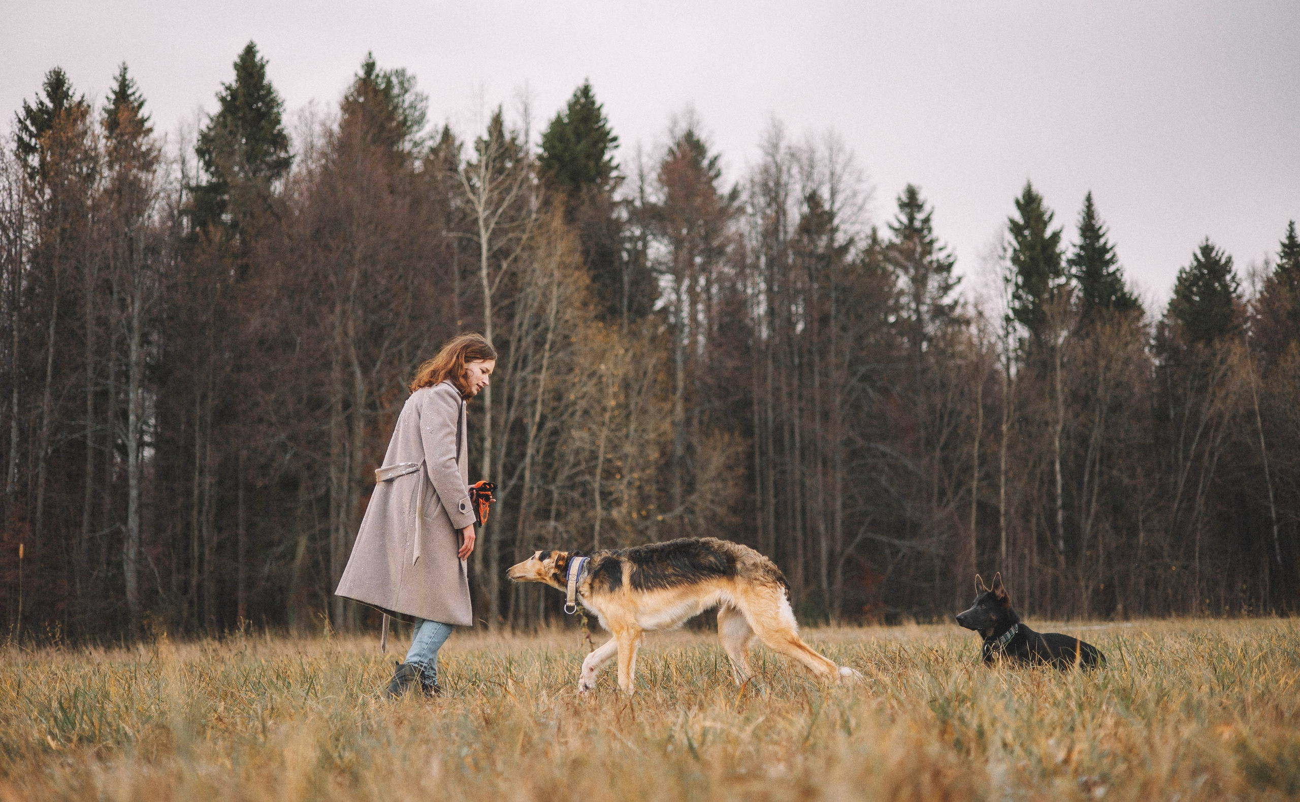 Алена, Леви и Микаса. Фотограф-анималист Богданова Полина
