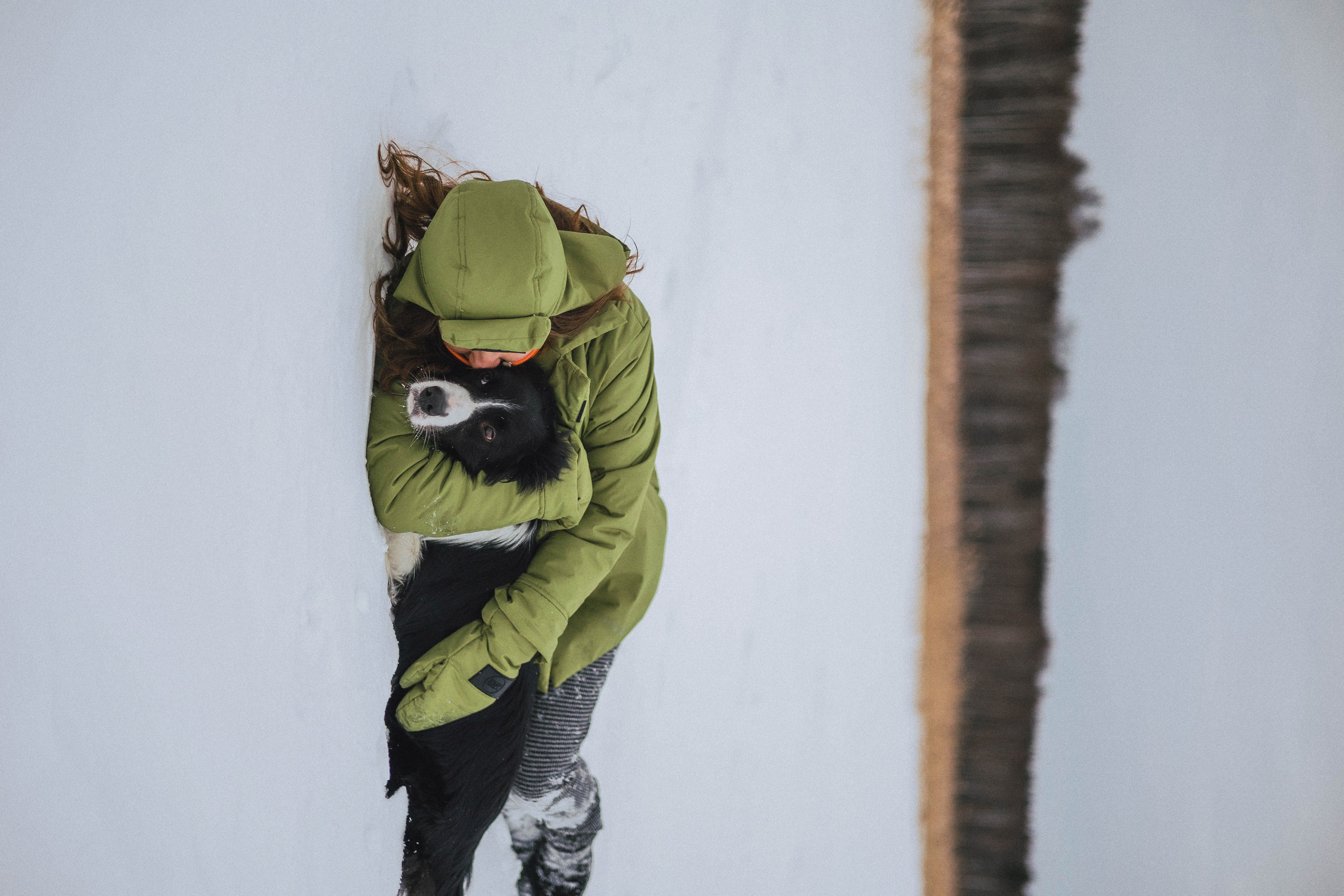 Маша, Рэм и Ньютон. Фотограф-анималист Богданова Полина