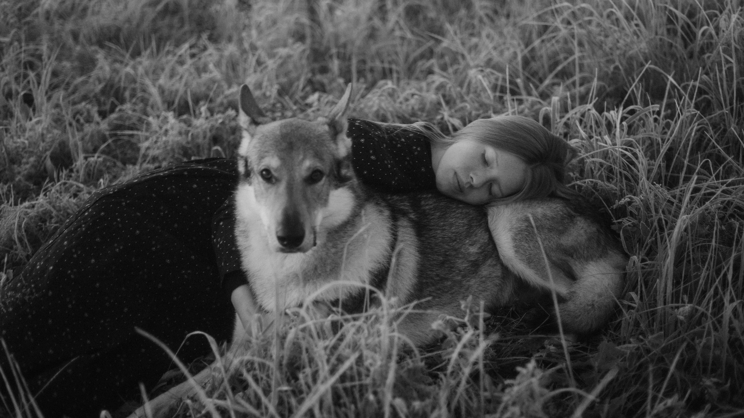 Полина и Вегард. Фотограф-анималист Богданова Полина