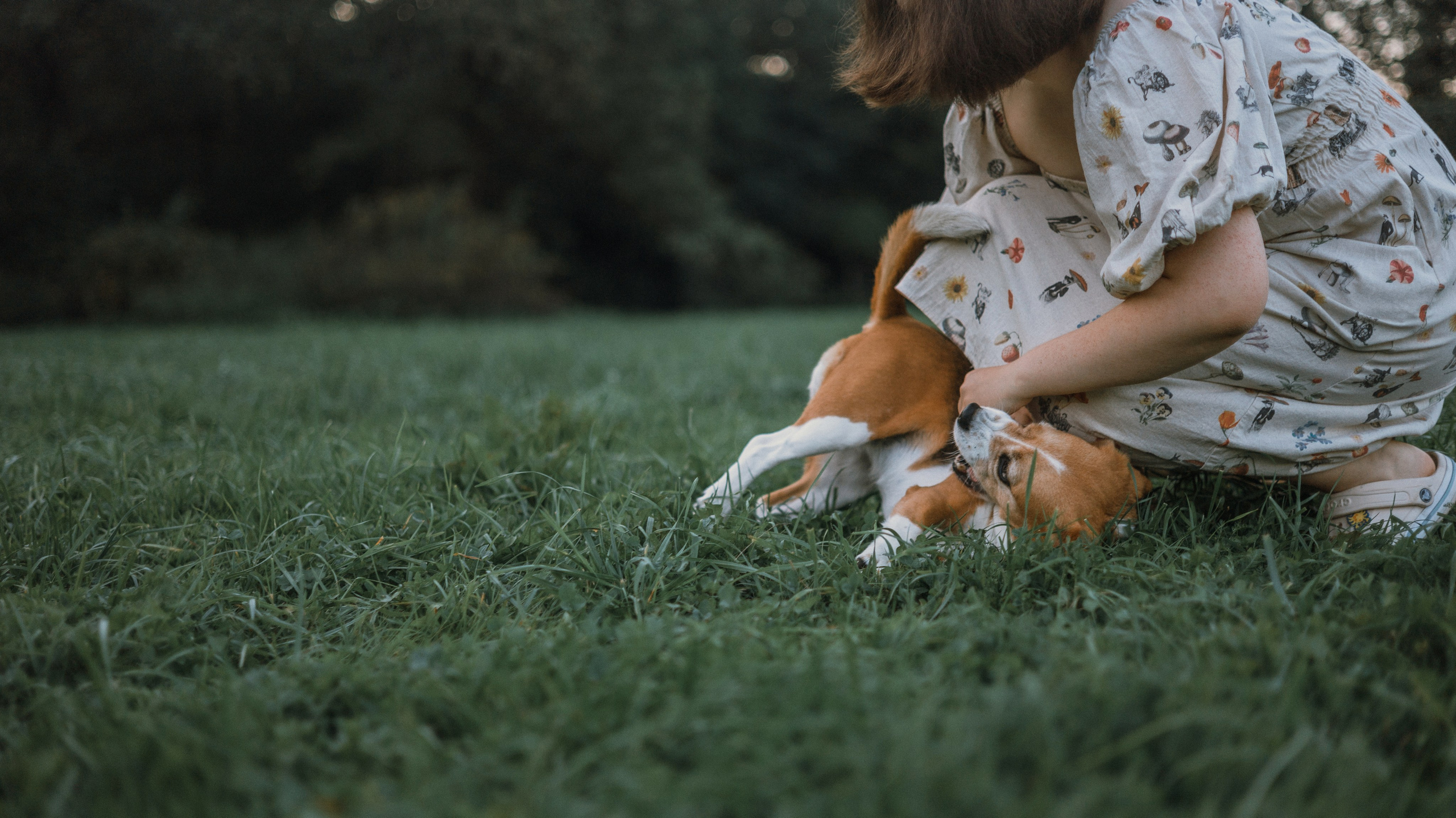 Лиза и Сара. Фотограф-анималист Богданова Полина