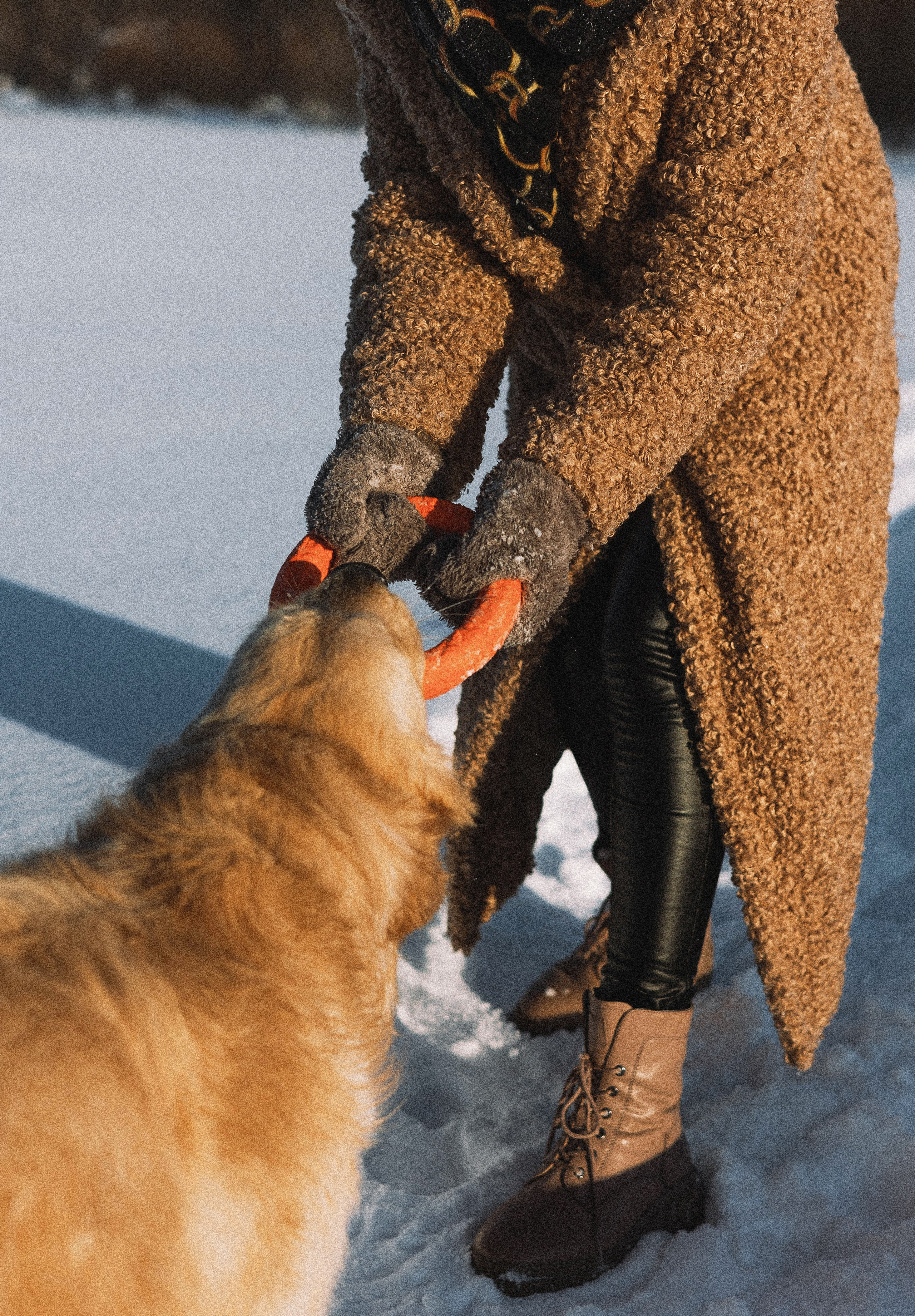 Лена и Декстер. Фотограф-анималист Богданова Полина
