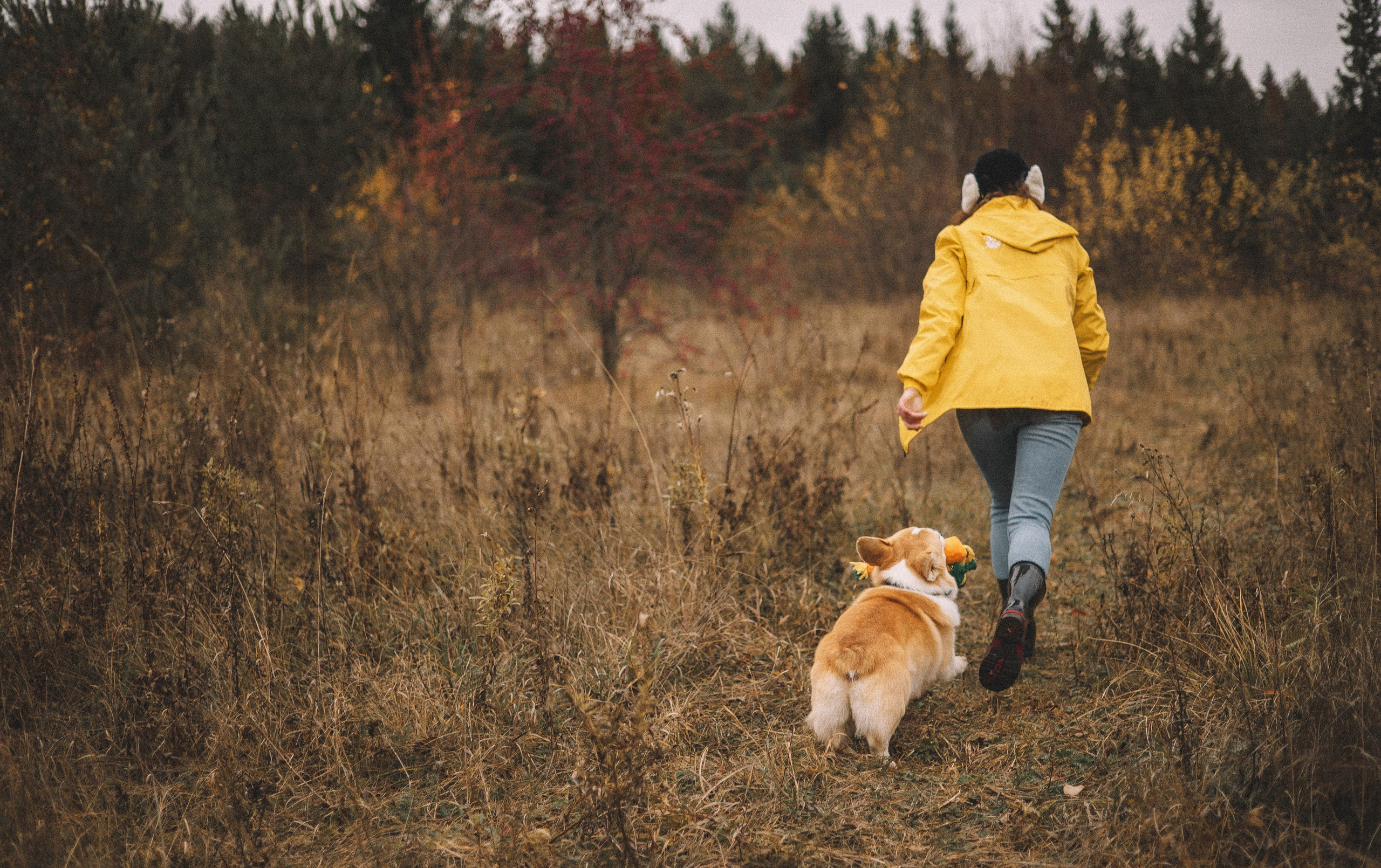Юля и барри. Фотограф-анималист Богданова Полина
