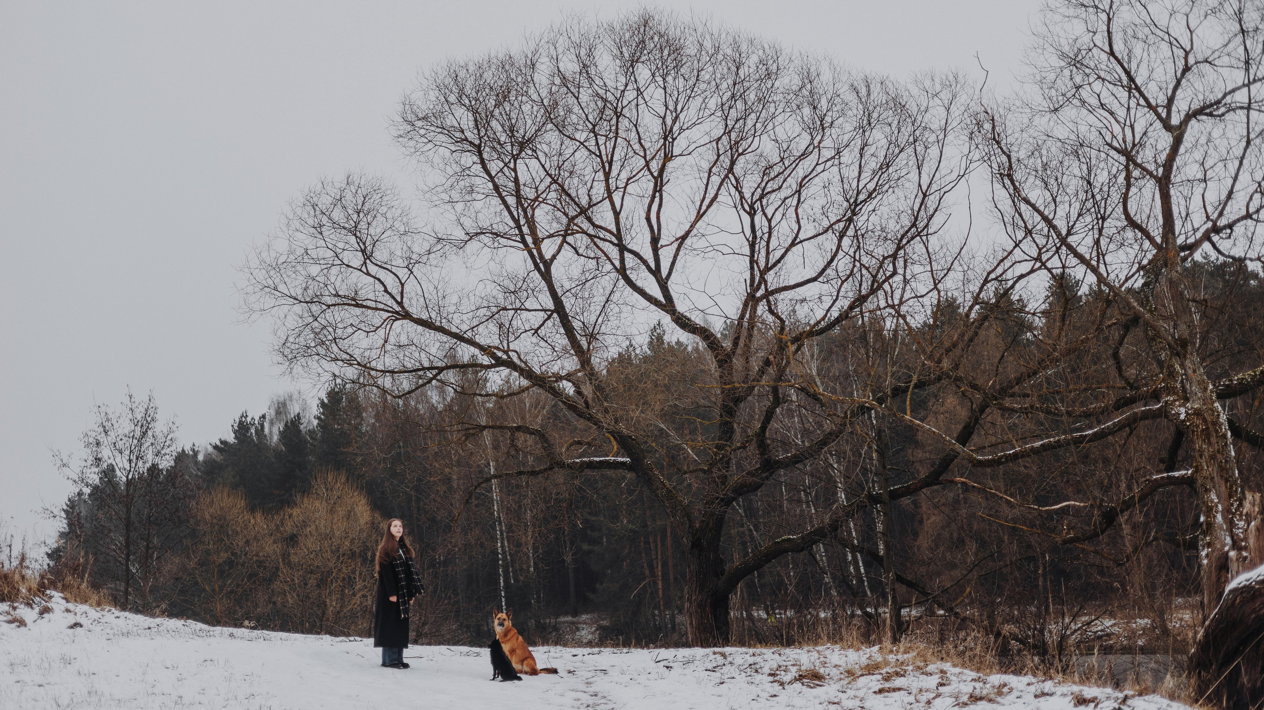 Юля, Лара и Йоми. Фотограф-анималист Богданова Полина