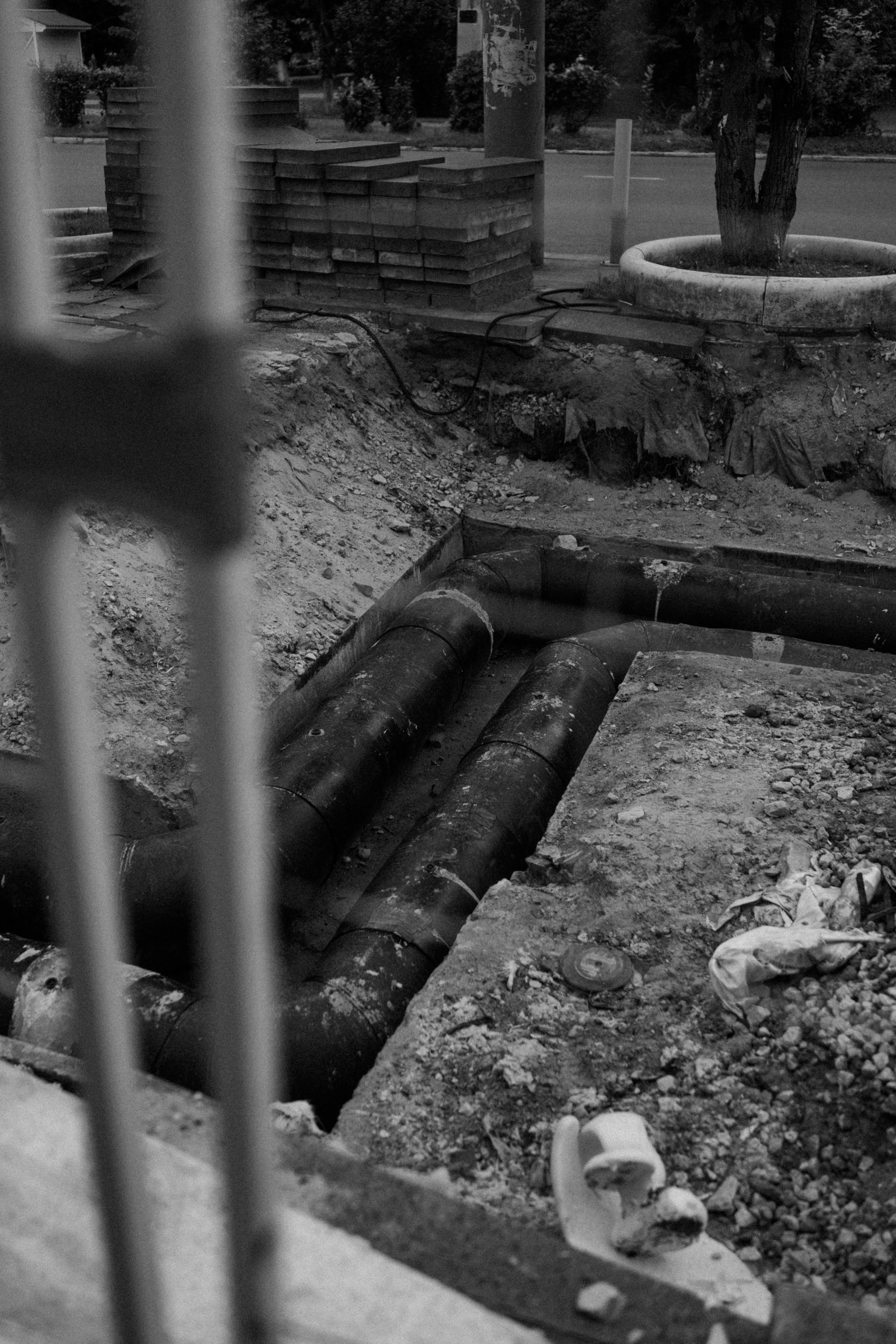 Городская суета. Vlad Trykov