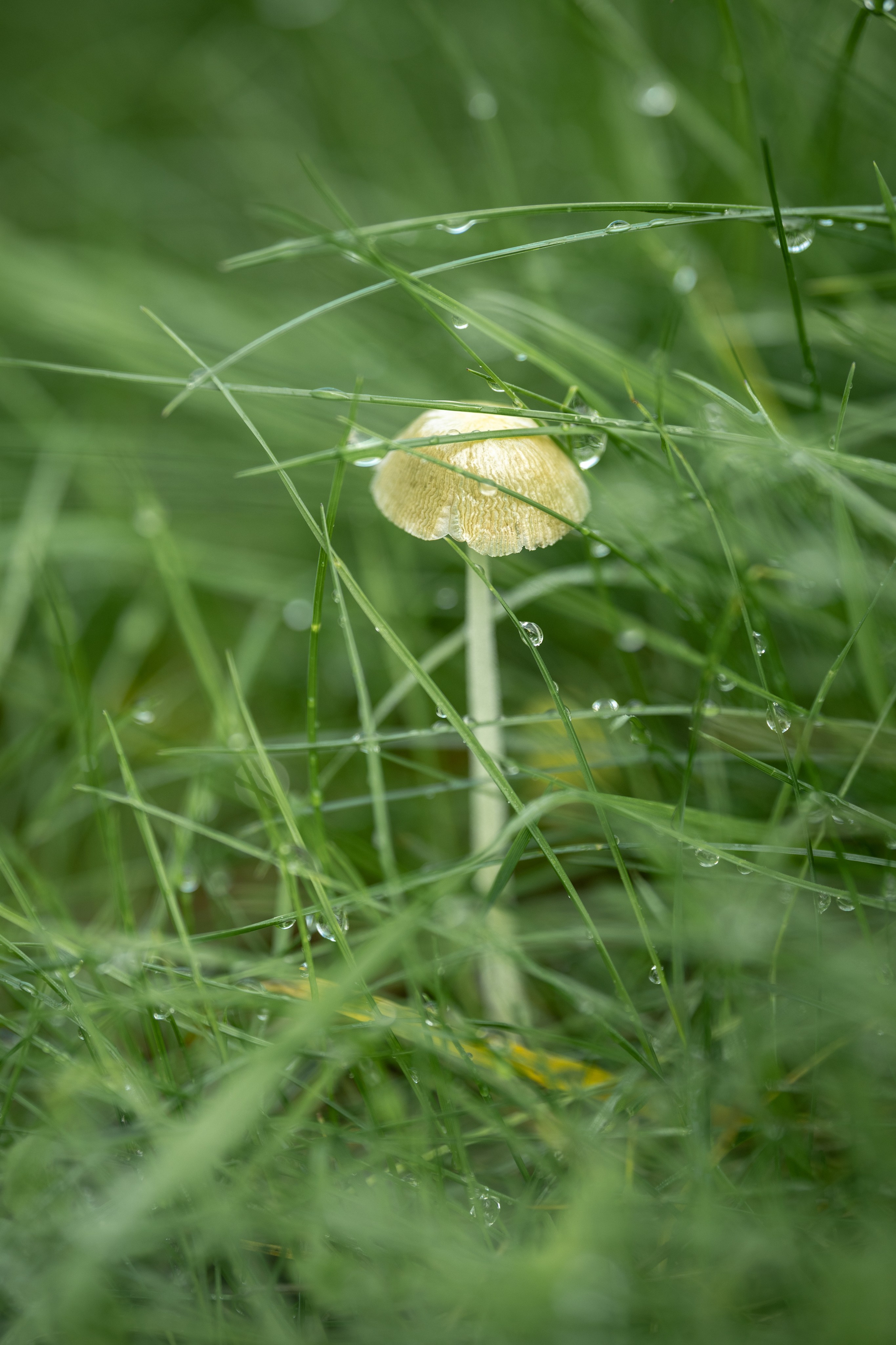 Природные пейзажи. Наталия Клевинскас портретный фотограф в Костроме