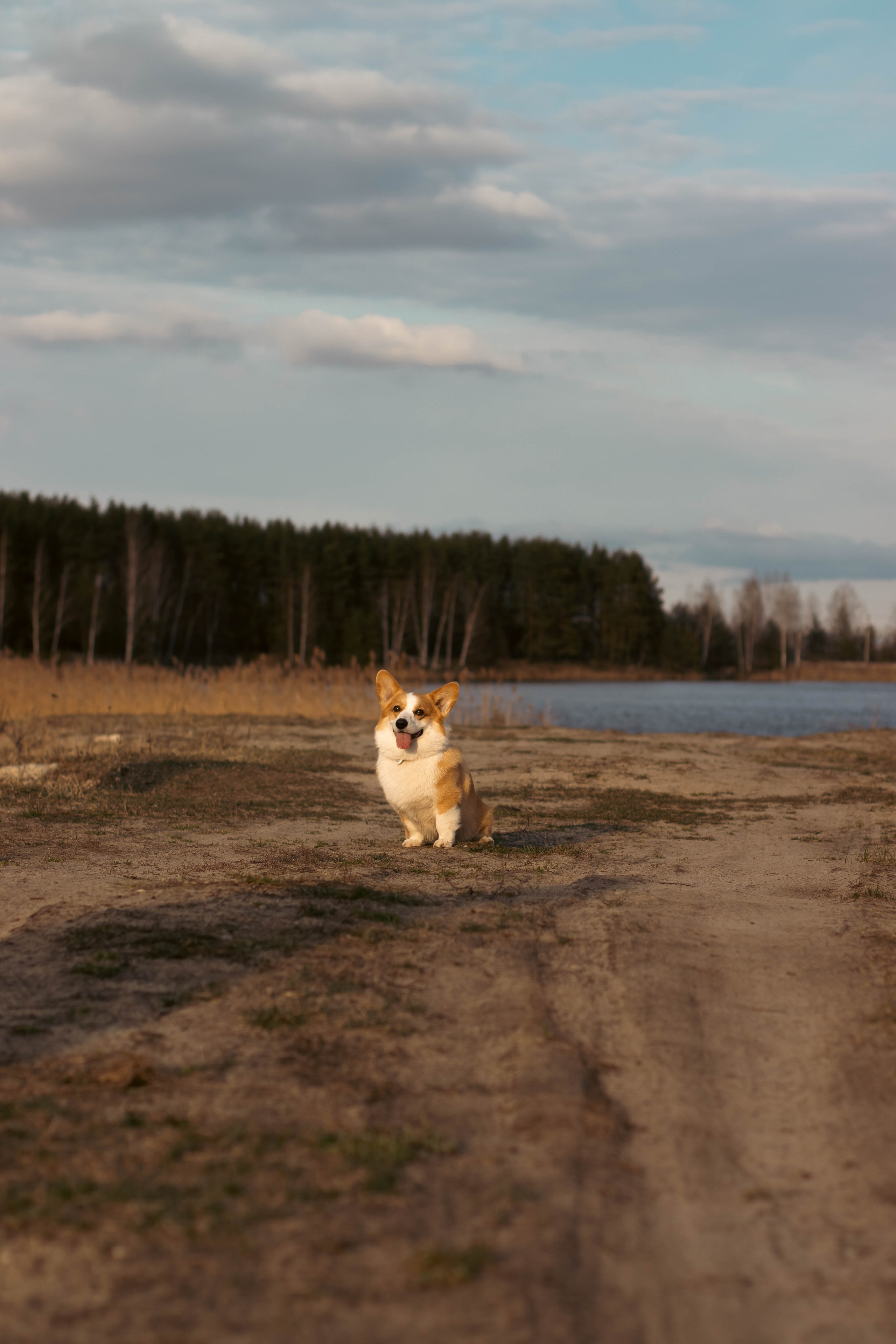 Деймик. Фотограф в Москве Ксюшенька
