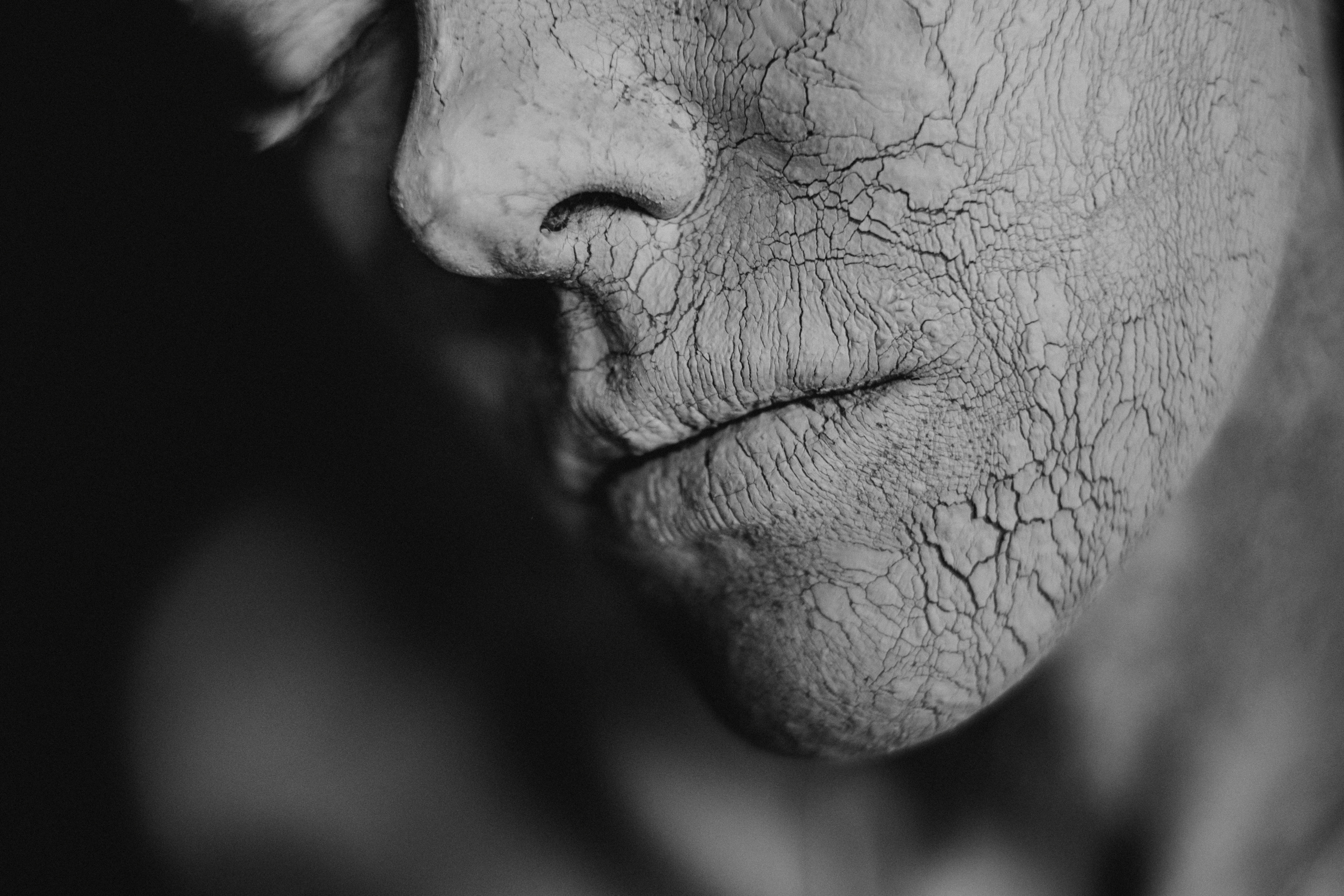 Глина поможет. Свадебные и семейные фотографы в Москве Максим и Оксана Первомай