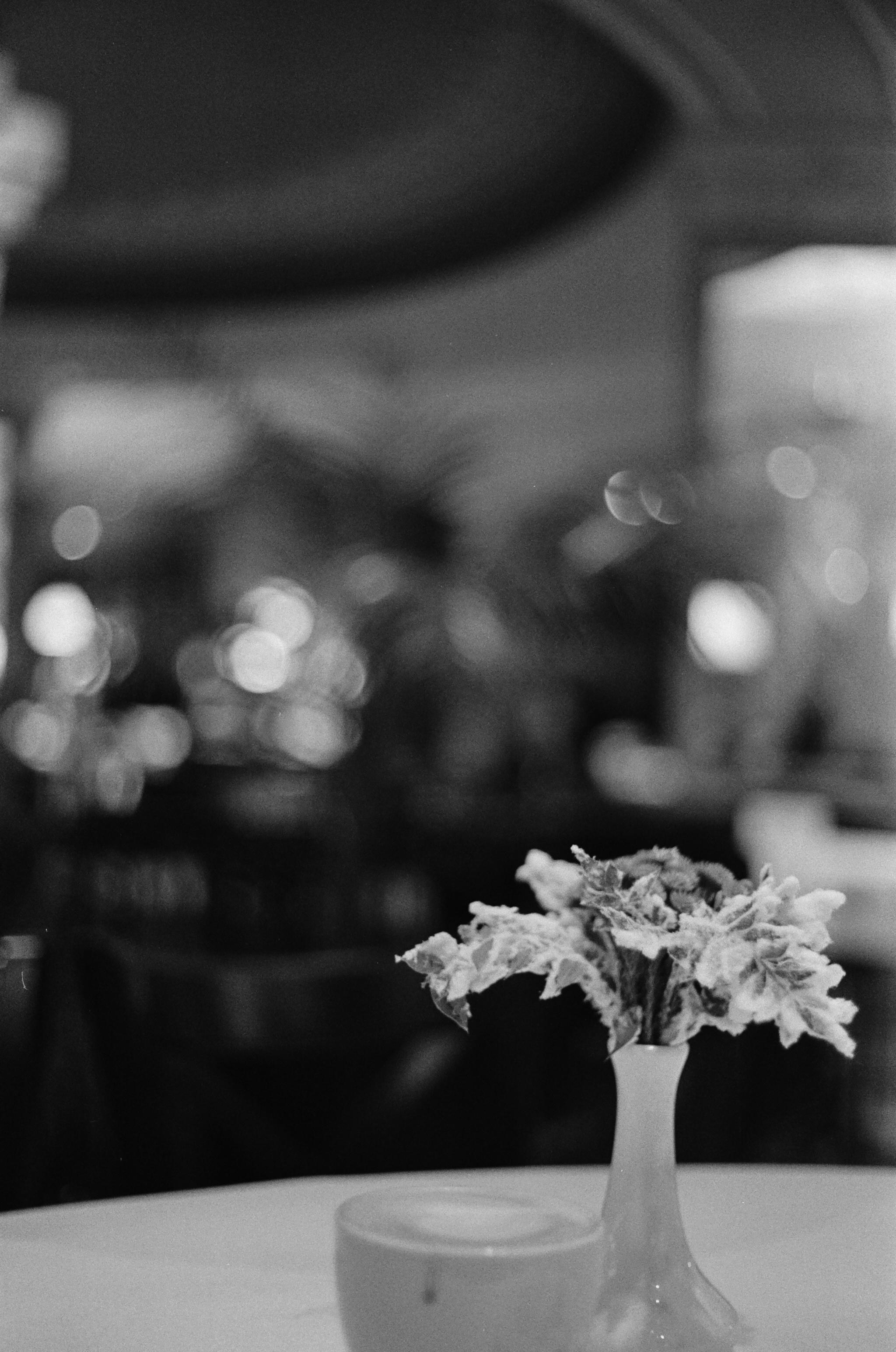 Примеры фотографий Yashica Electro 35 GSN