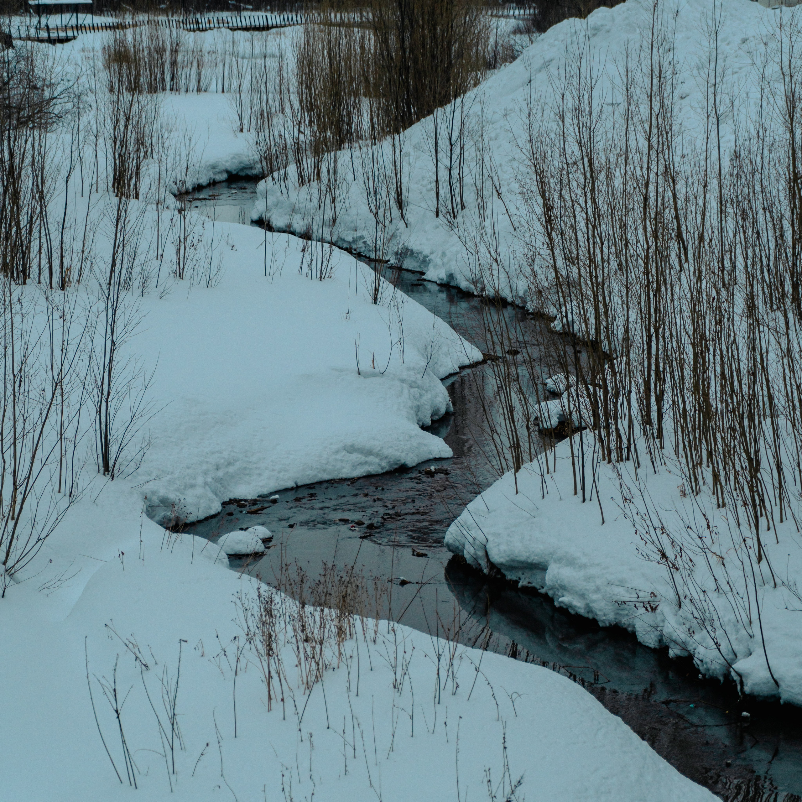 Сургут, Март 2024