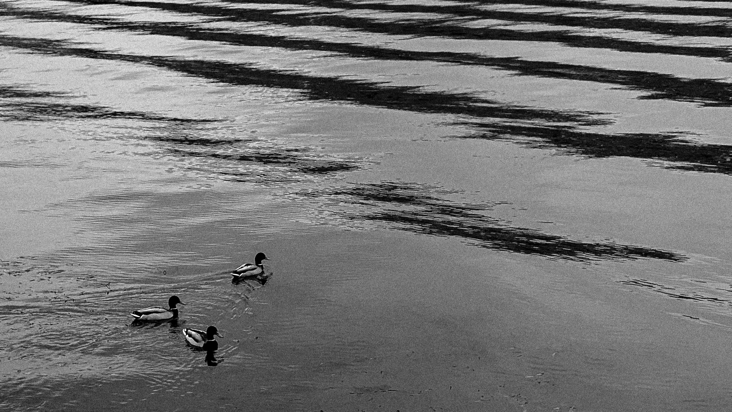 Мобильная фотография. Интерьерный и портретный фотограф в Москве Анна Моногарова