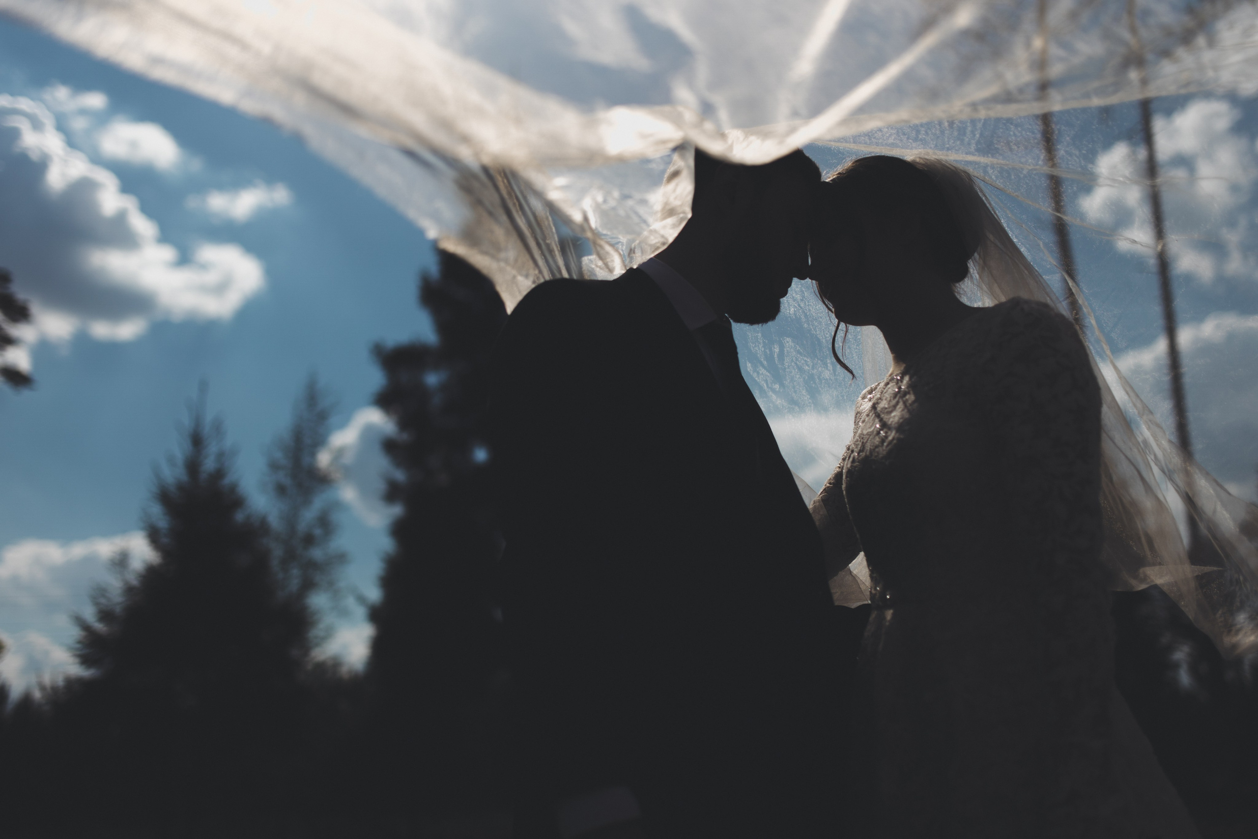 Вениамин и Вера. Свадебная и семейная фотография в Курске Адамян Давид