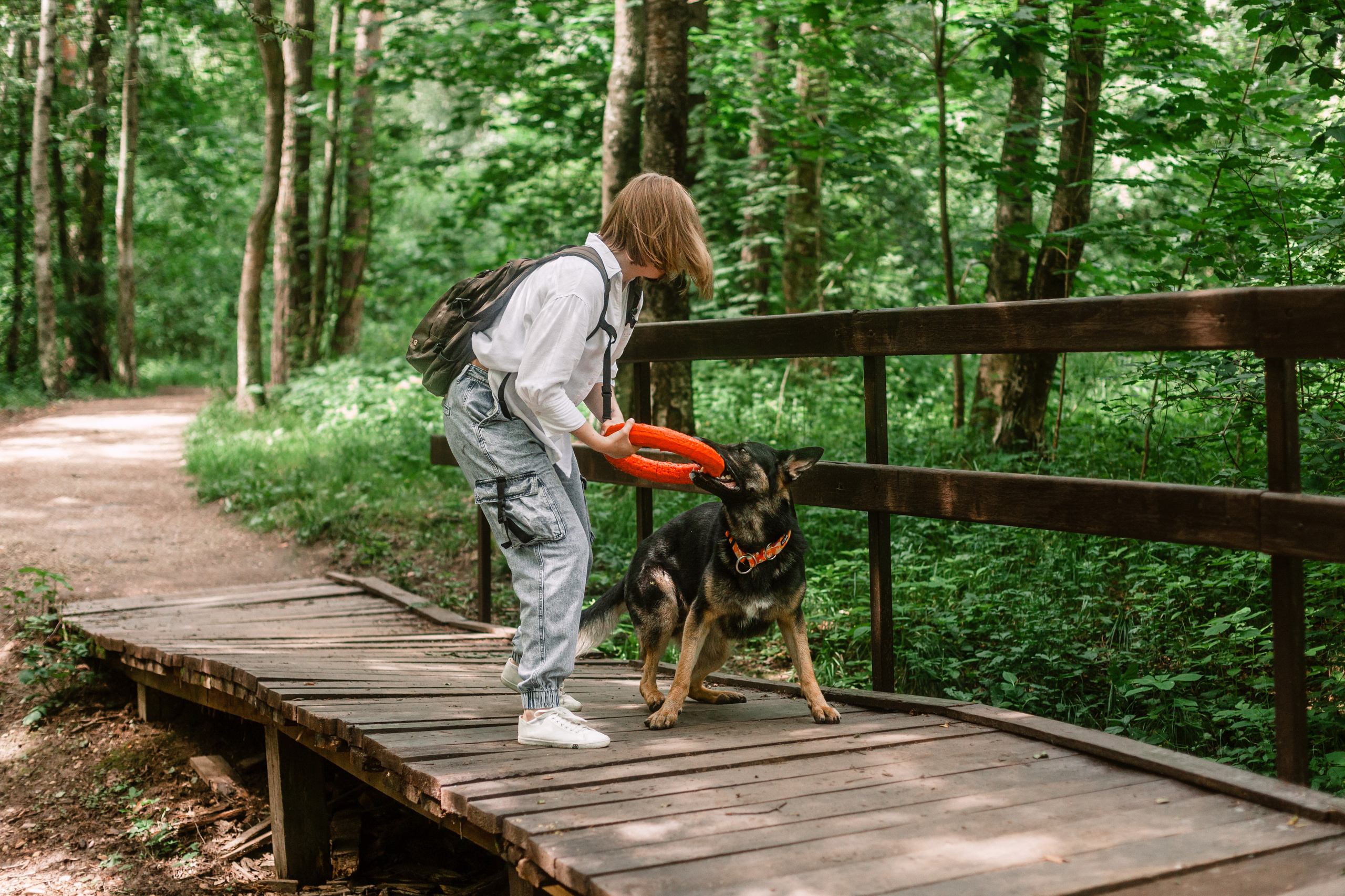 Лесная летняя фотопрогулка. Фотограф-анималист Татьяна Степанова