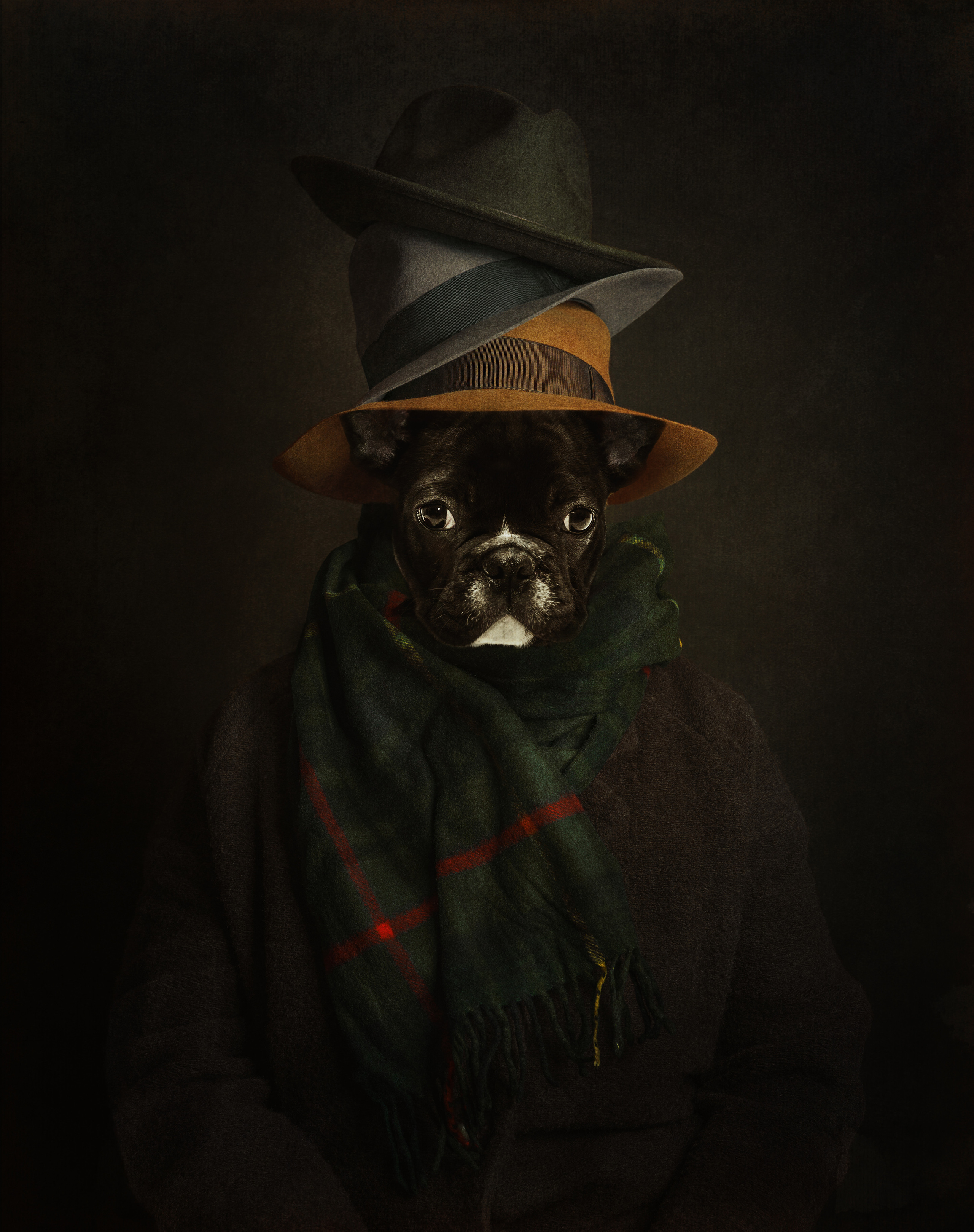 Портреты. Fine Art фотограф Альбина Бугарчева