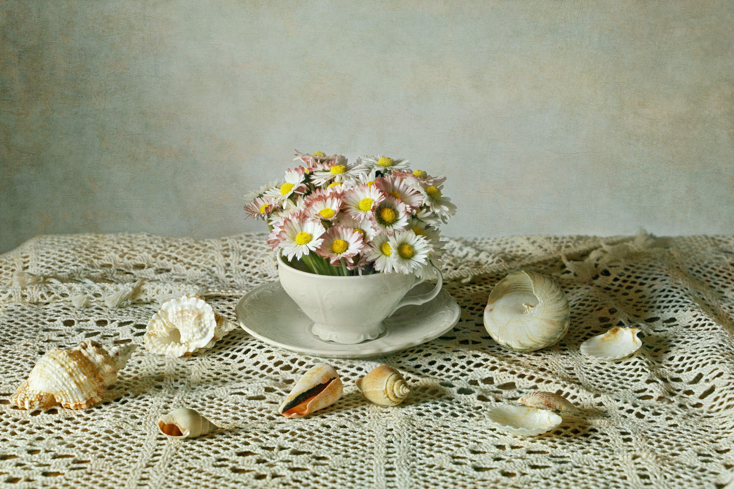 Современный натюрморт. Fine Art фотограф Альбина Бугарчева